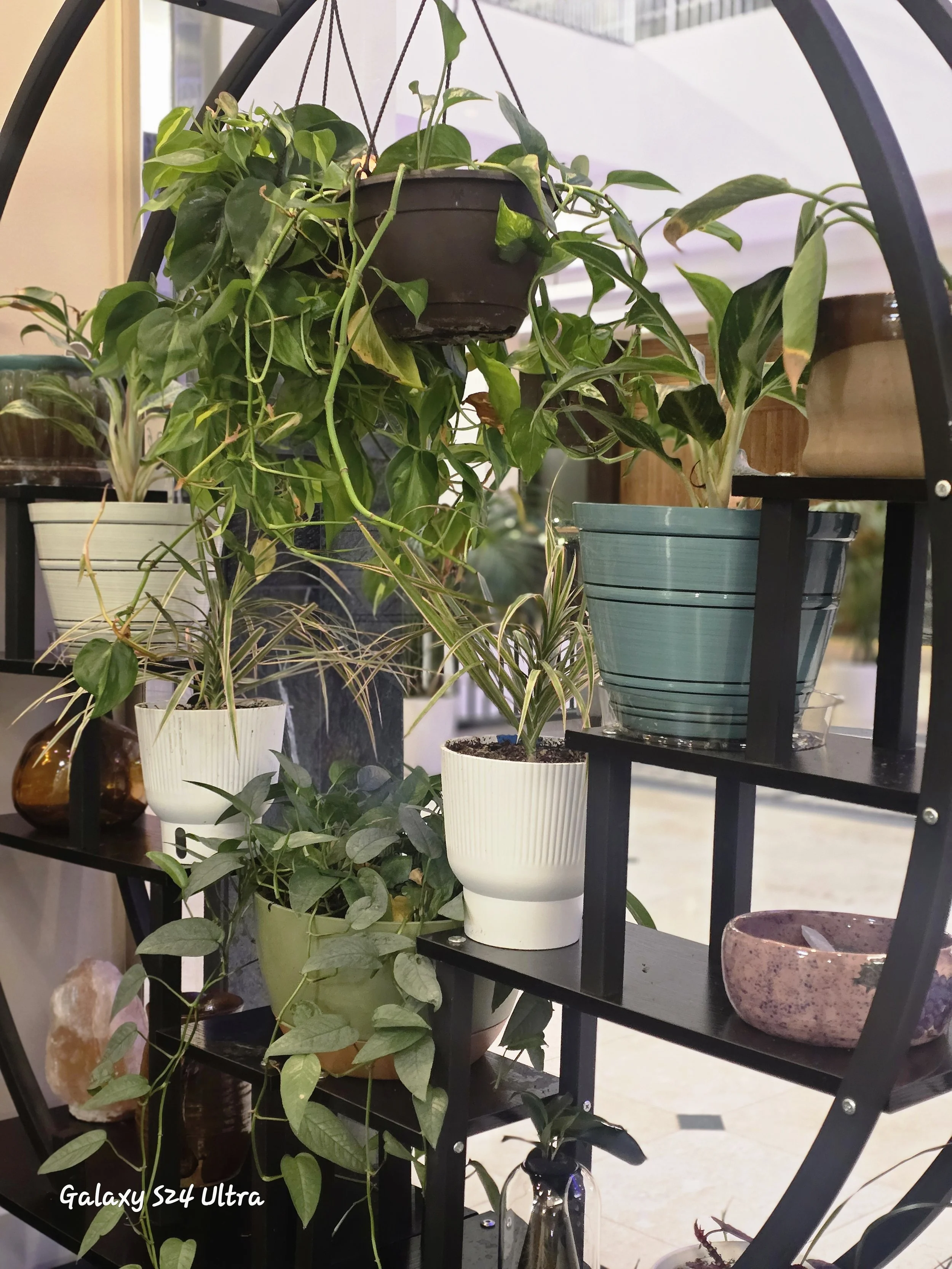 Soul Core Wellness For Life