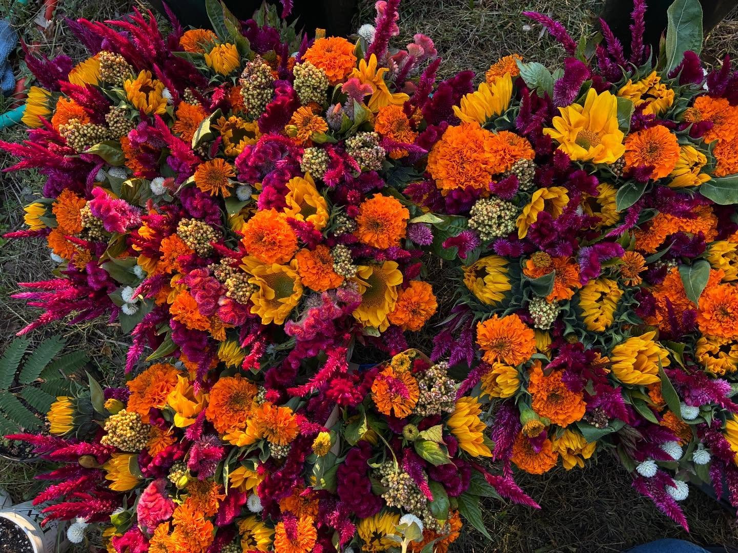 It&rsquo;s been a busy Fall! We are still working hard at planting, cleaning up, amending soil, leaf mulching, the to do list goes on and on. Sometimes the list feels never ending, but looking at bouquet photos from the season always makes it worth i