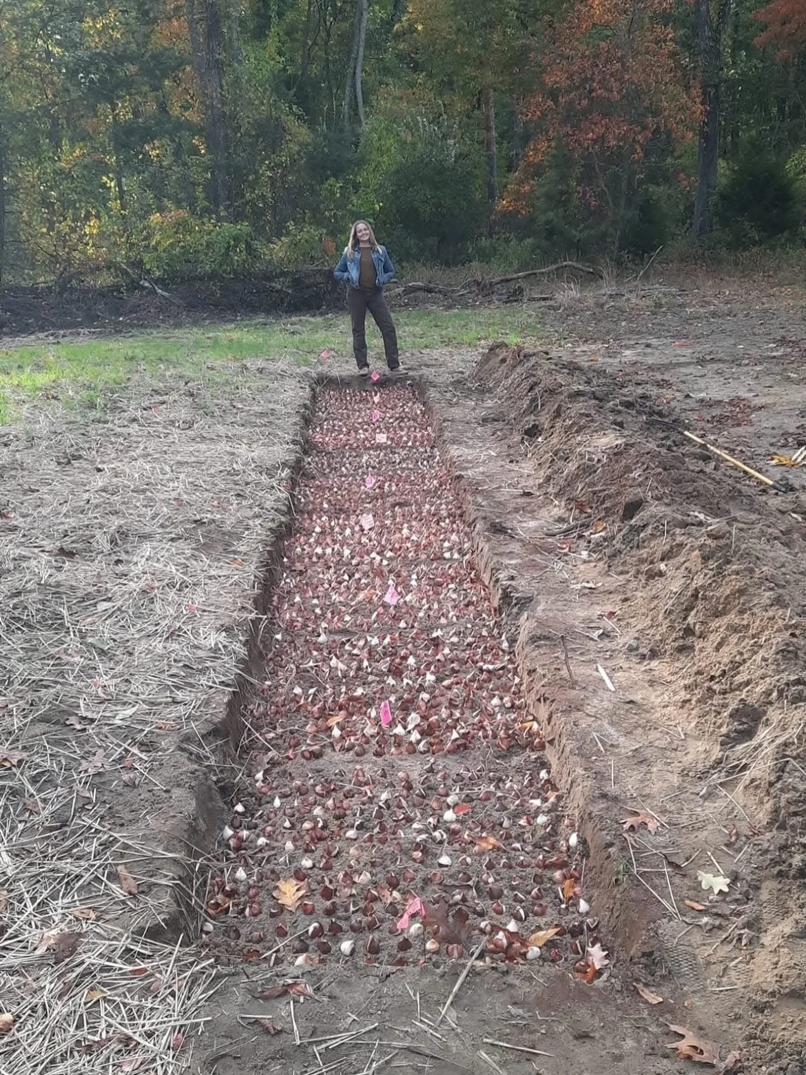 Same spot but almost 2 years apart!😱

I remember the day I asked Tom to take this photo of me and the Tulips we just planted. I had thousands of dollars worth of Tulips on order, lost access to our rental farm plot, and unsure of where we would plan