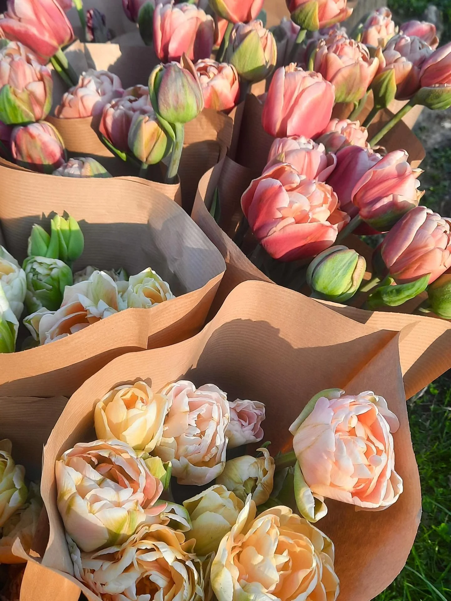 If you&rsquo;ve looked at our stories today, you&rsquo;ll see a little throwback to what Buds and Botanicals was like the first year we started growing.

It&rsquo;s crazy that we&rsquo;ve had three different properties within the short 5 years we&rsq