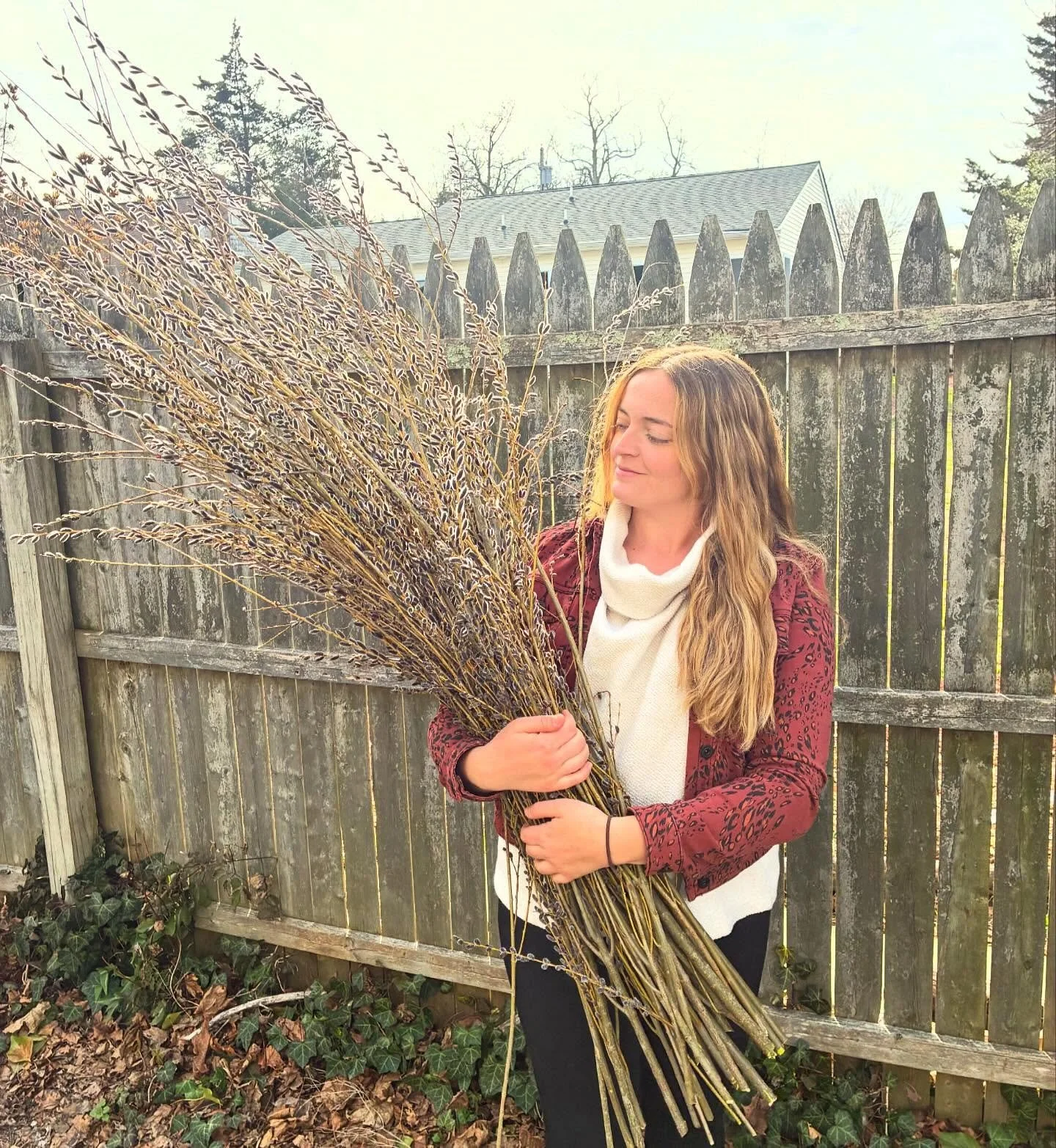 First armload shot of the season! Check out these beautiful pussy willow branches that we harvested from my mom&rsquo;s yard. 😍 Once these shrubs get some leaves on them we plan on rooting cuttings from her bushes to grow our own plants at our farm.