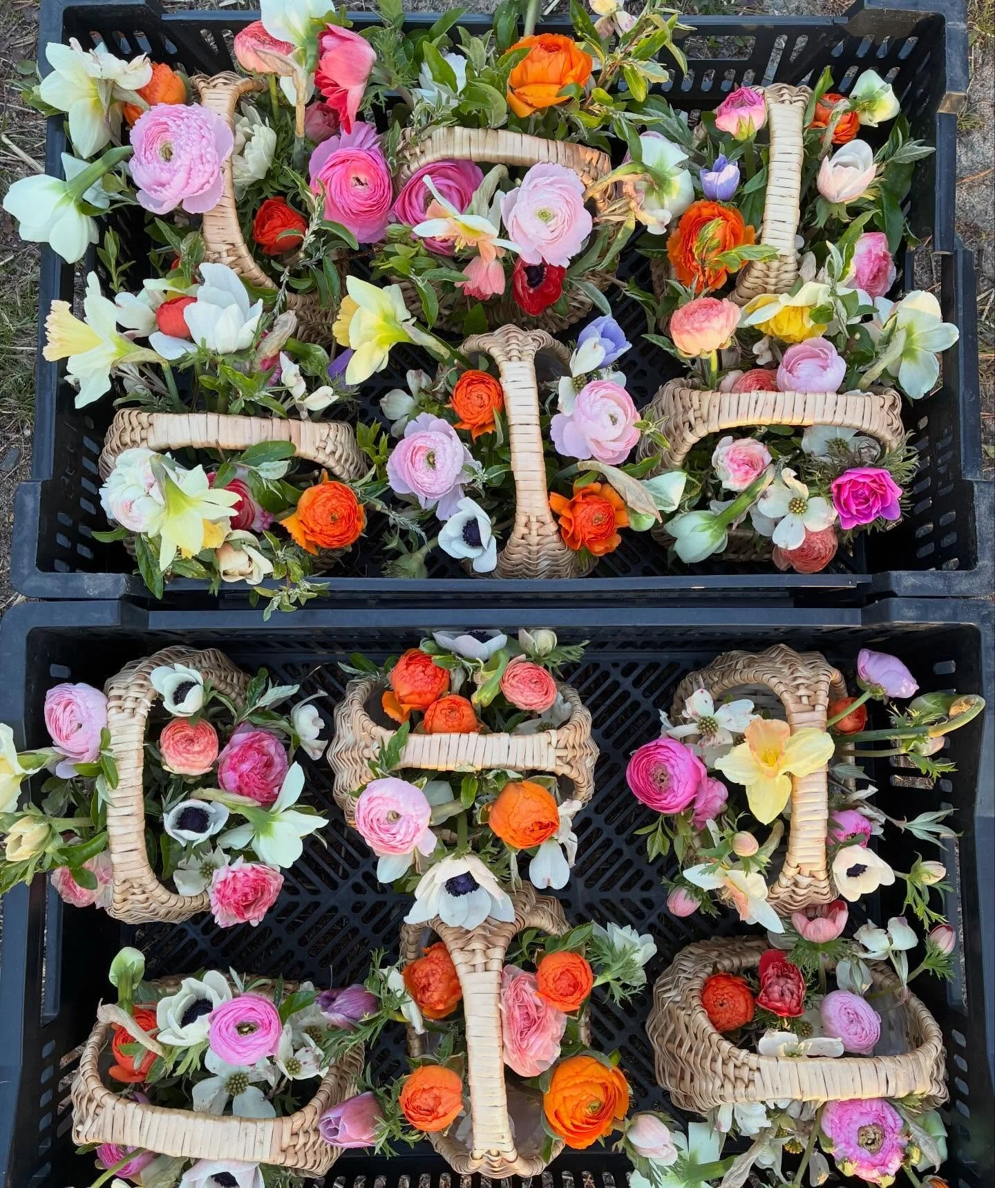 Remember when we made these super cute Easter baskets last year for @evermorecoffeeroasters ?😍

We&rsquo;re planning another fun Easter design this year that&rsquo;s a little different 🥕 Today&rsquo;s the last day to preorder and it&rsquo;s a perfe