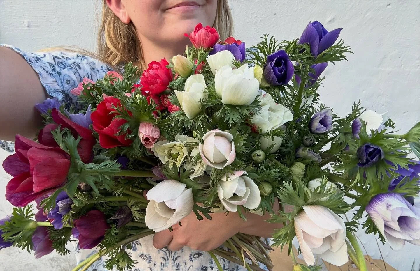 Celebrating all the wins this year, like these amazing Anemones! 😍 Tall strong stems, large flower heads, bug free, and more importantly pesticide free! 

Finally cracked the code on this crop after years of growing. We are focusing on flower qualit