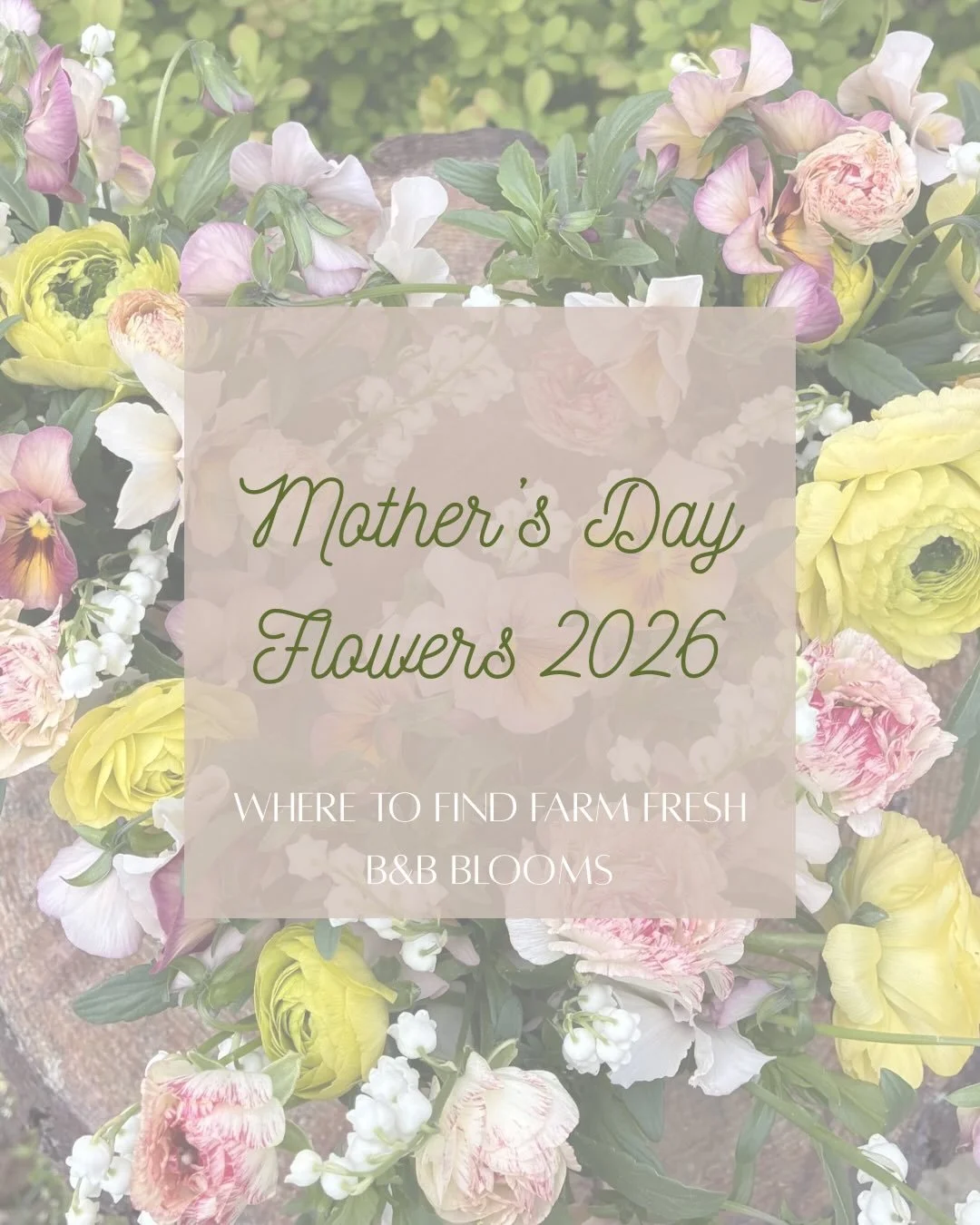 Mother&rsquo;s Day Drop! 🌸
We are so excited to team up with our friends above, &amp; supply our farm fresh blooms for Mom!
Not only can you find our specialty fresh cuts at these locations, but you can also find a ton of other gifts like coffee, be