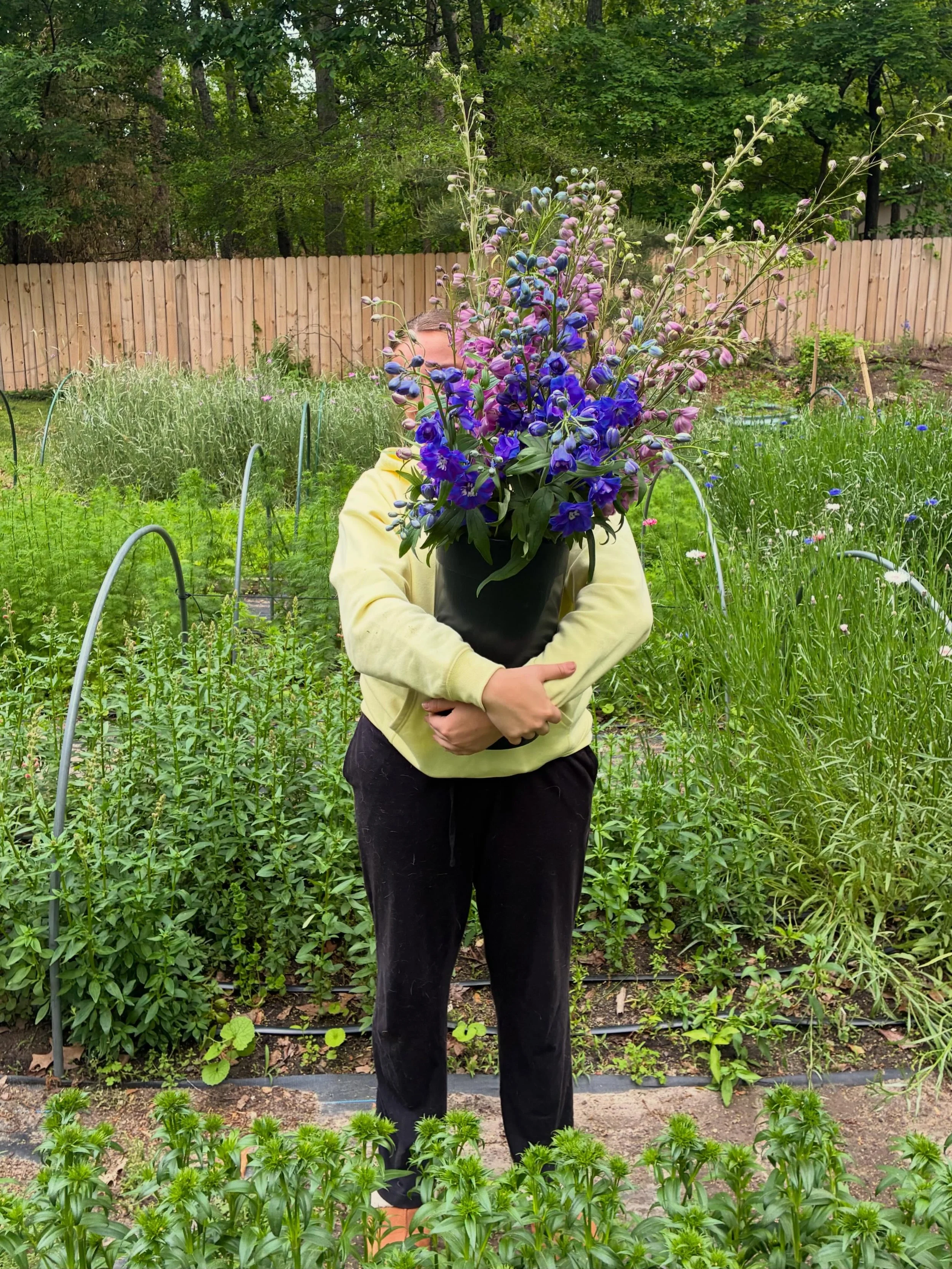 Holy Delphinium! 💙💜🩵
Harvesting lots of Spring flowers for @historicsmithvillenj Mayfest this weekend. Come find us both Saturday &amp; Sunday. Shop local! 🦋

Brief pause on wholesale this week, but we&rsquo;ll be back to normal availability next