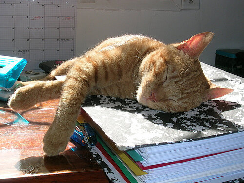How to make your teen’s study more manageable and</em> productive with a study timetable