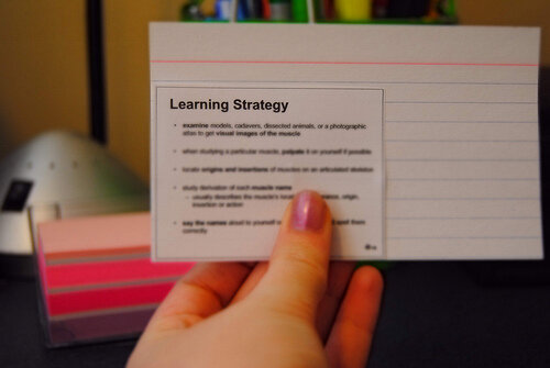 Has Your Teen Figured Out Their Study Formula Yet?