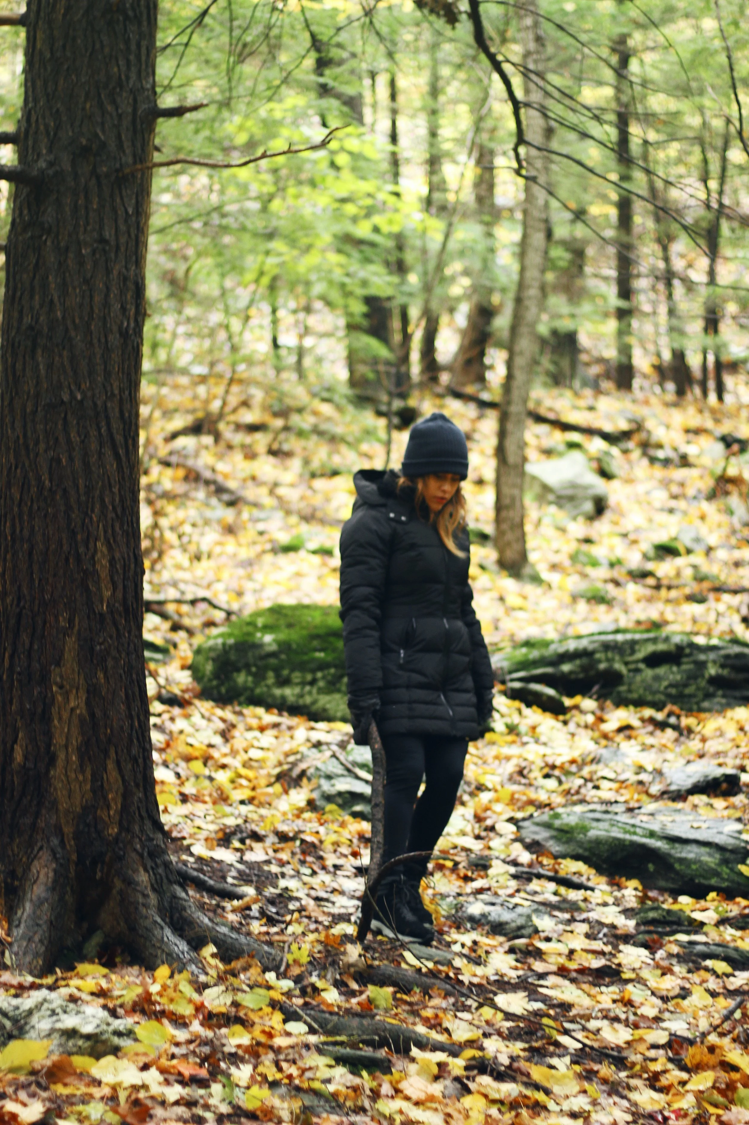 bash bish falls october camping hike 5 11.JPG