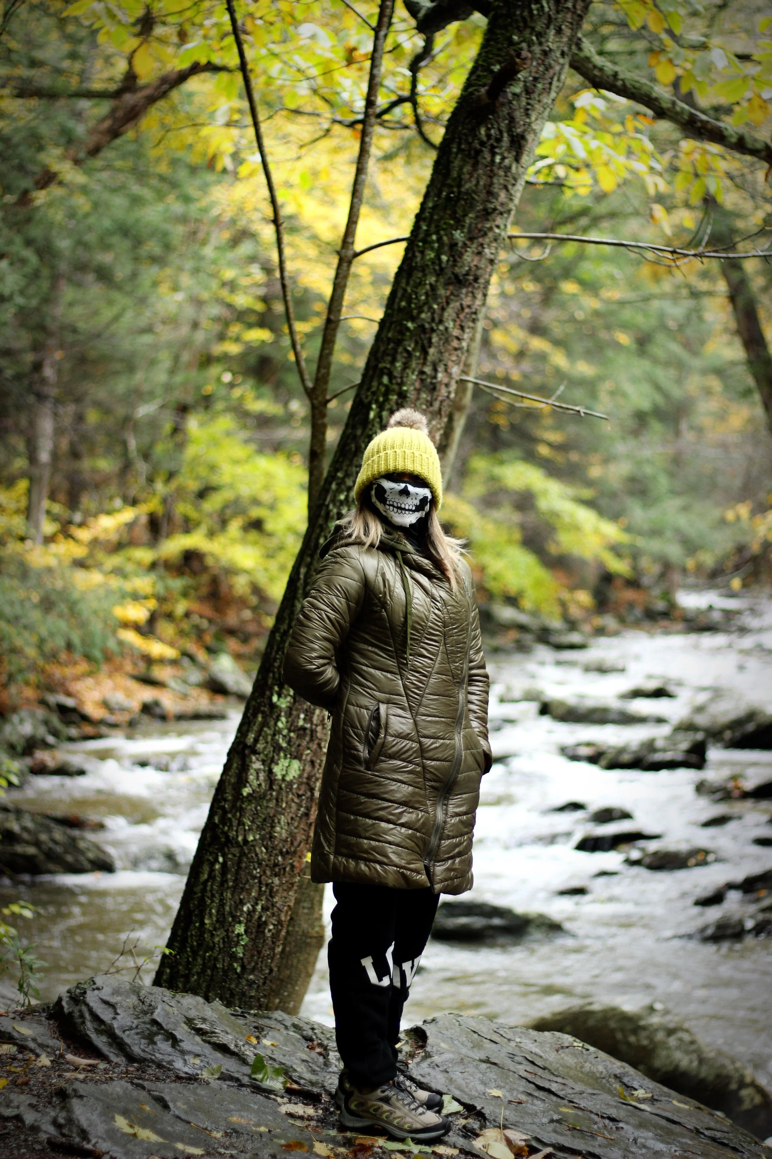 bash bish falls october camping hike 17.JPG