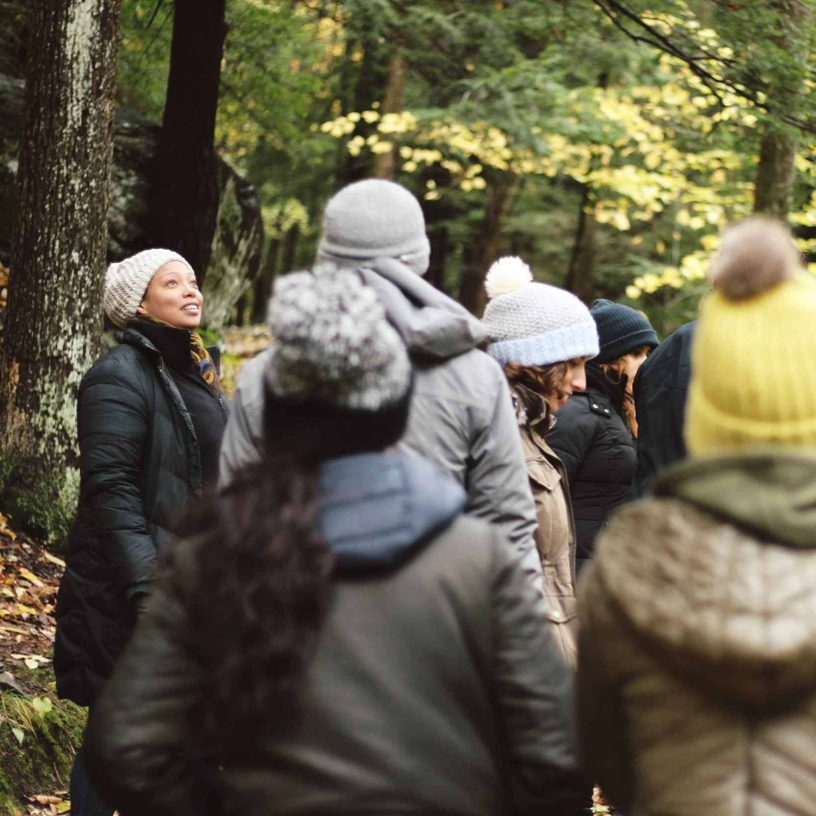 bash bish falls october camping hike 15.JPG