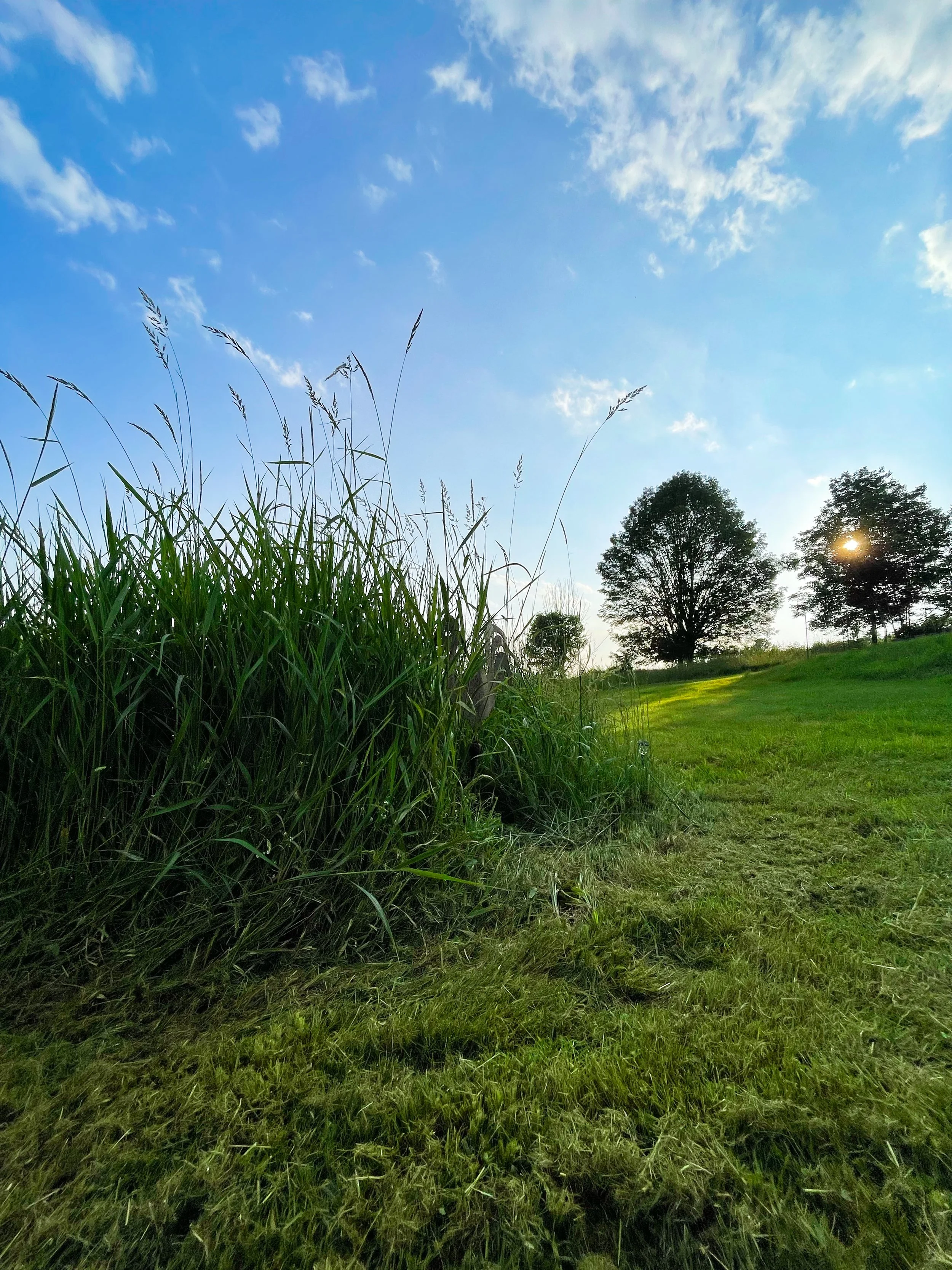 Basecamp Brooklyn Estates golden hour at campsite.JPG