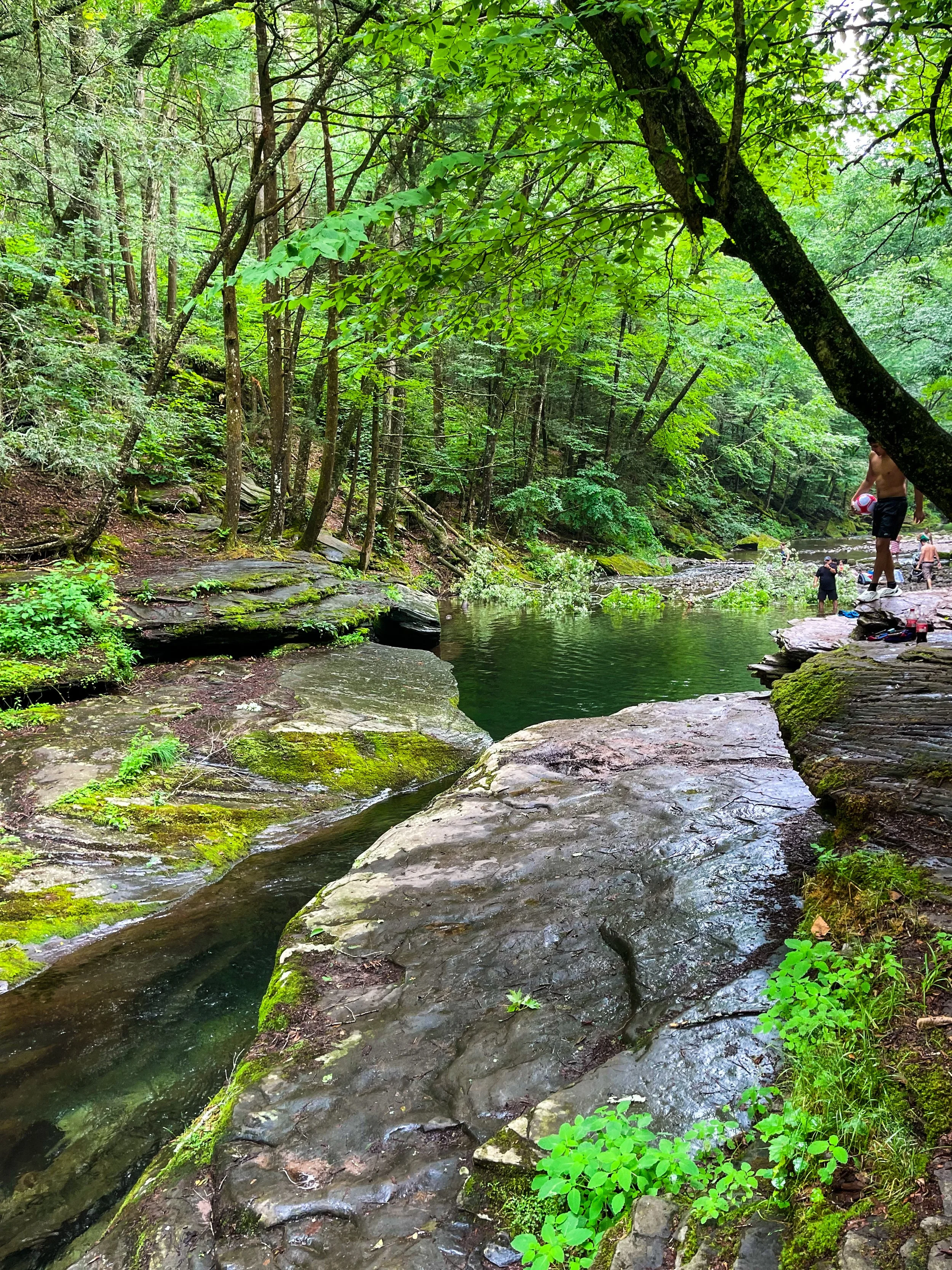 peekamoose blue hole swimming.JPG