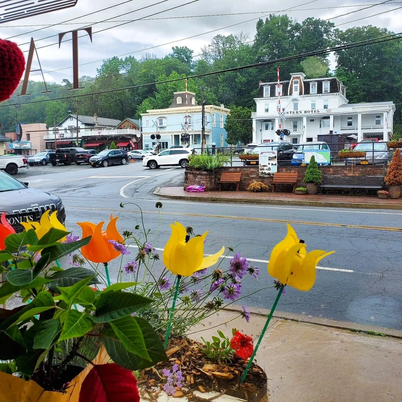 Callicoon Coffee Shop Rain Catksills Wolfpack Camping Event 2.JPG