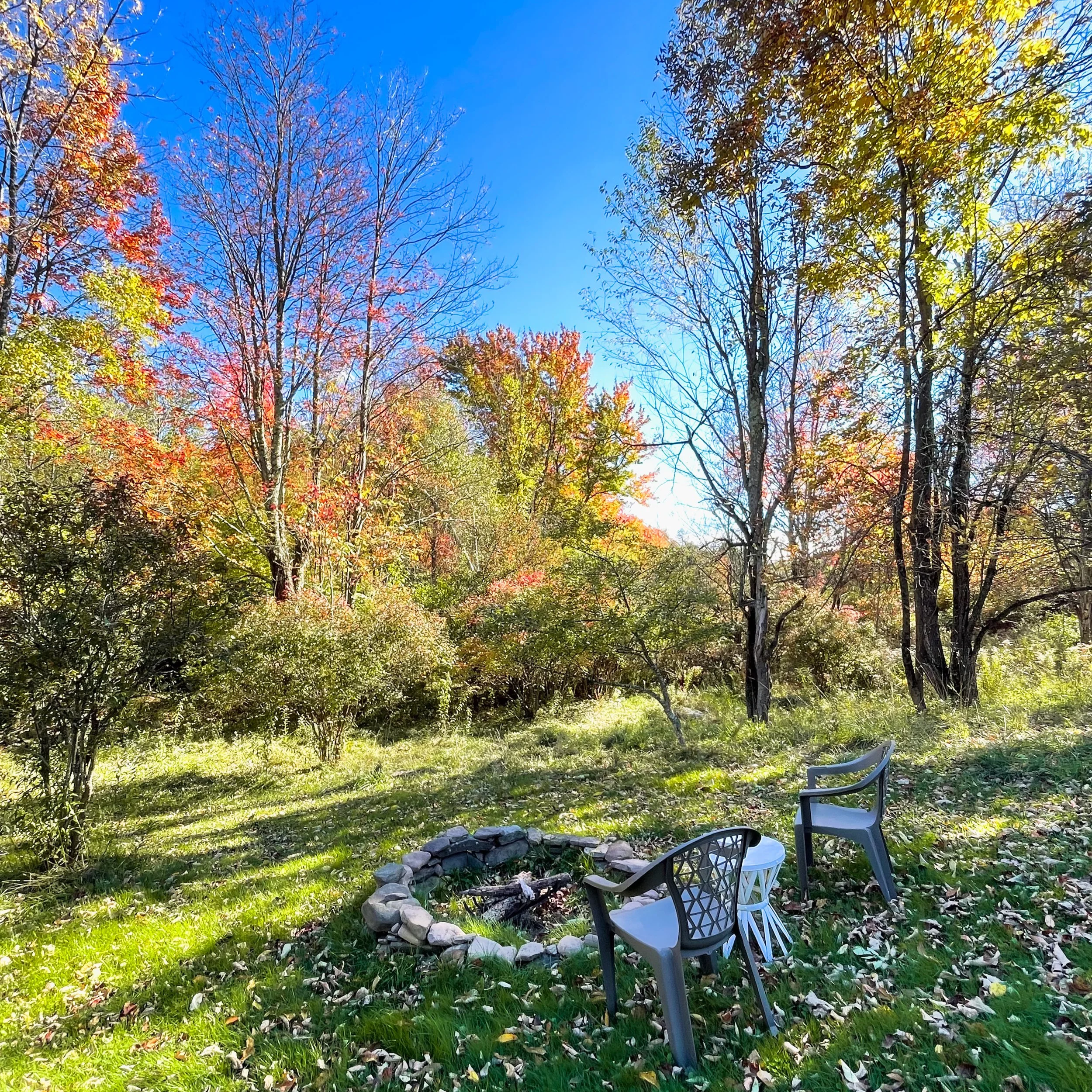 Fire+pit+for+the+Cabin+at+Basecamp+Brooklyn+Estates+in+Early+October+Fall+Foliage+2.png