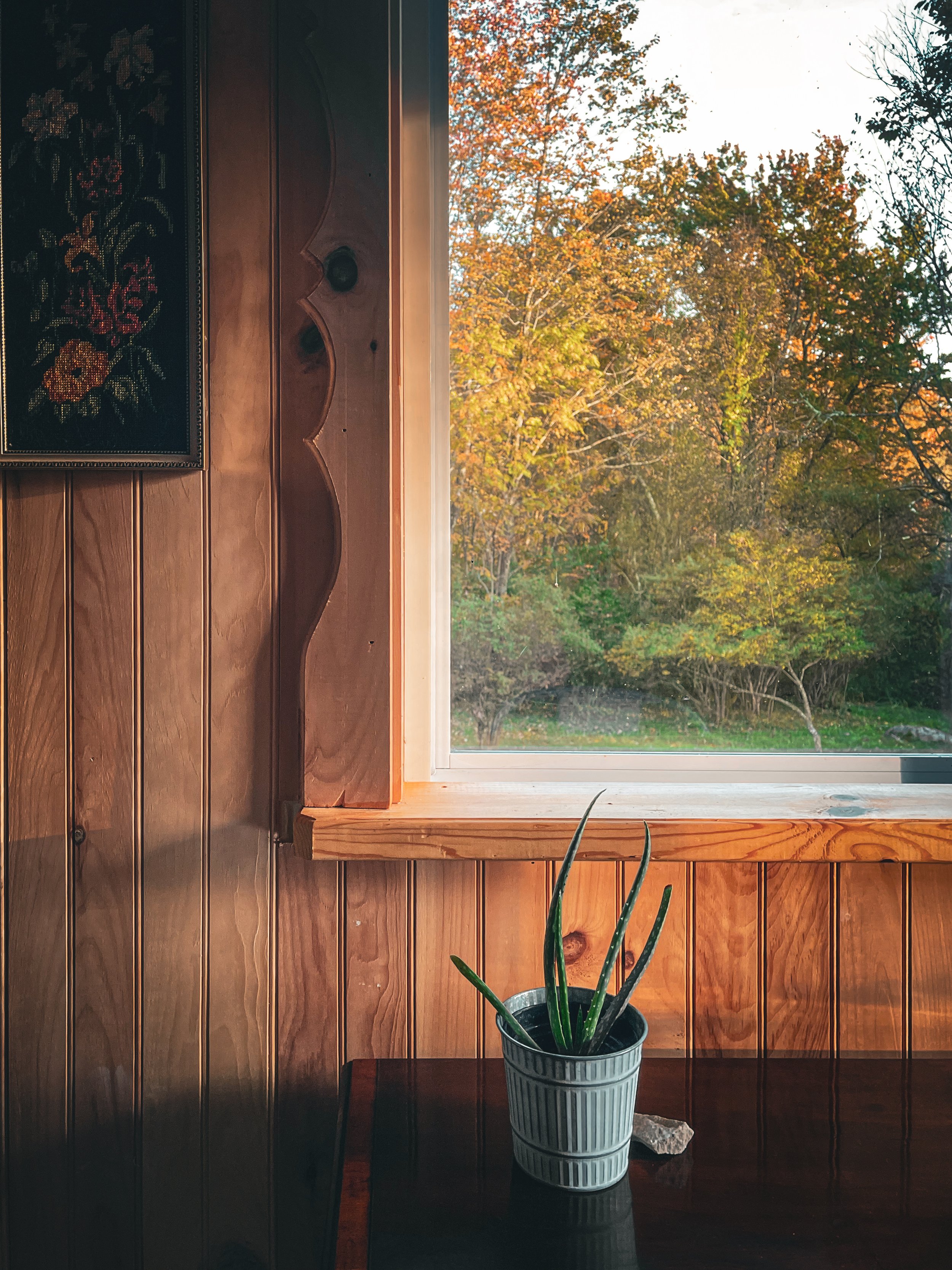 Tiny house cabin photos windows 2.jpeg