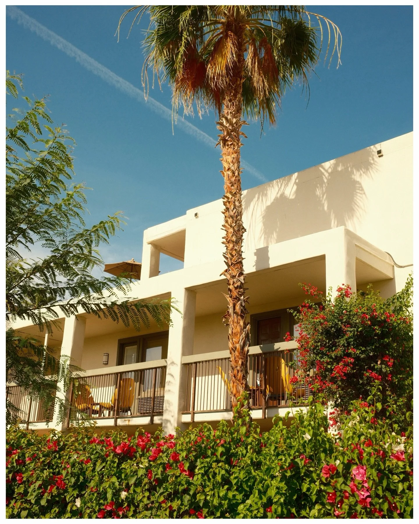 a Palm Springs weekender 🌴🎞️ #fujifilm