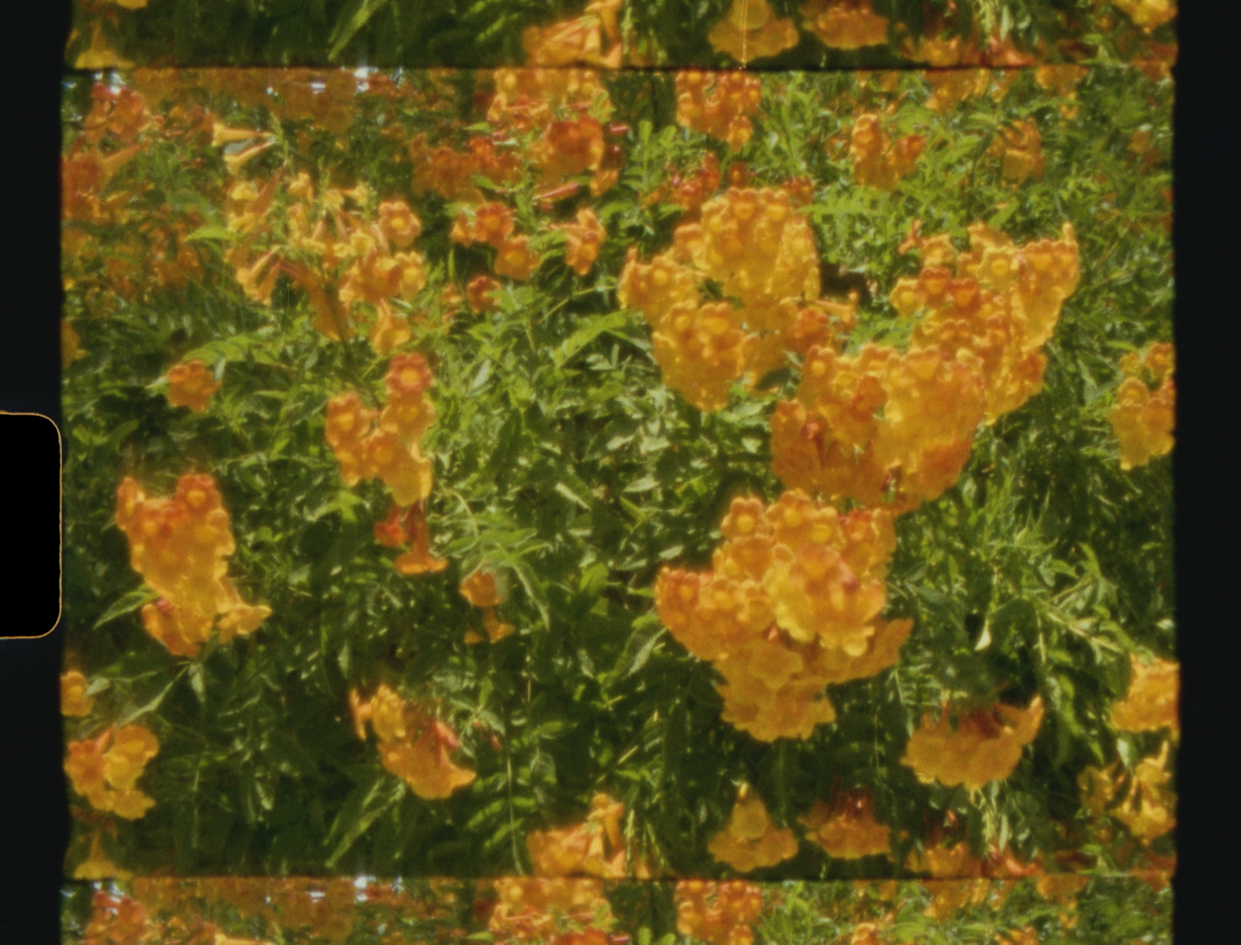 03.png