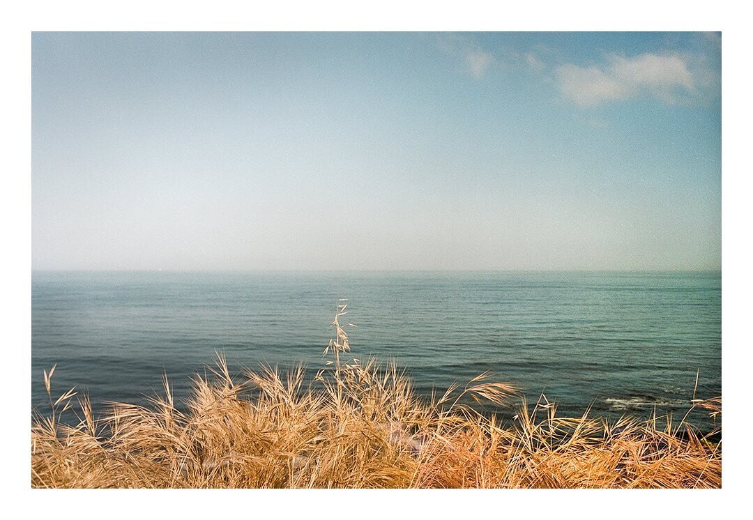 &bull; Grain of Salt

📷 Pentax K1000
🎞 Kodak Portra 400
.
.
.
.
.
.
.
.
.
.
#film #filmphotography #35mm #35mmfilm #landscape #california #coast #photography #analog #35mmphotography #kodak #portra #pentax #filmphoto #nature #ocean #art #landscapep