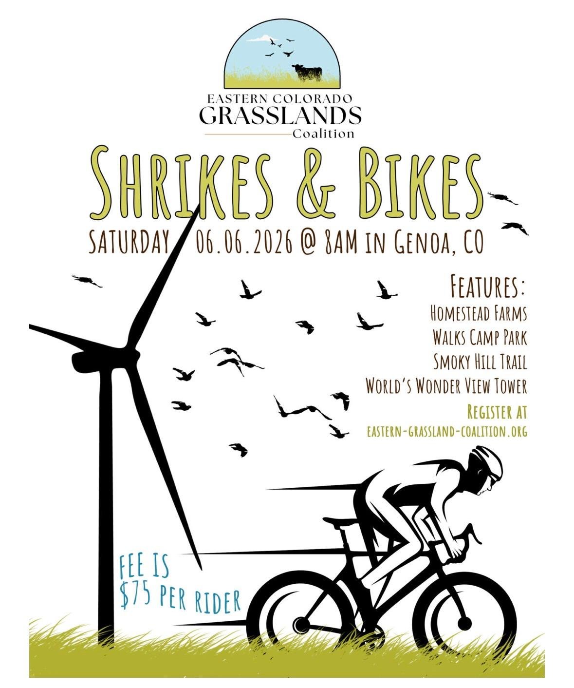 Shrikes & Bikes: A Colorado Grasslands Ride