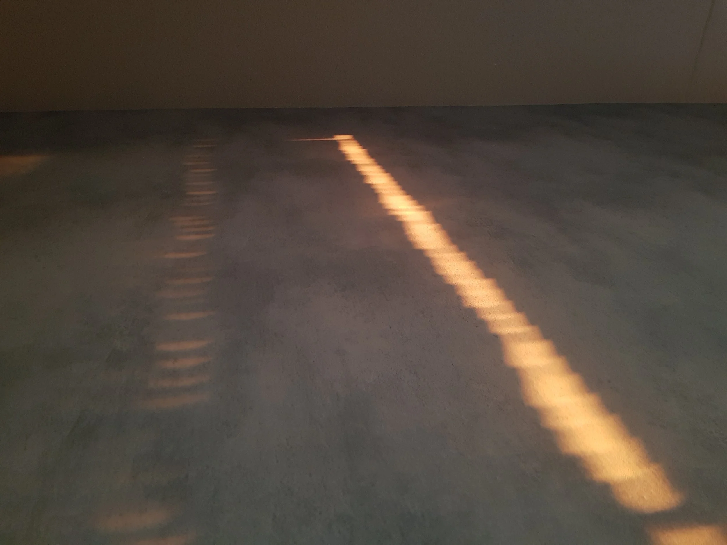 頭蓋骨の欠片の話