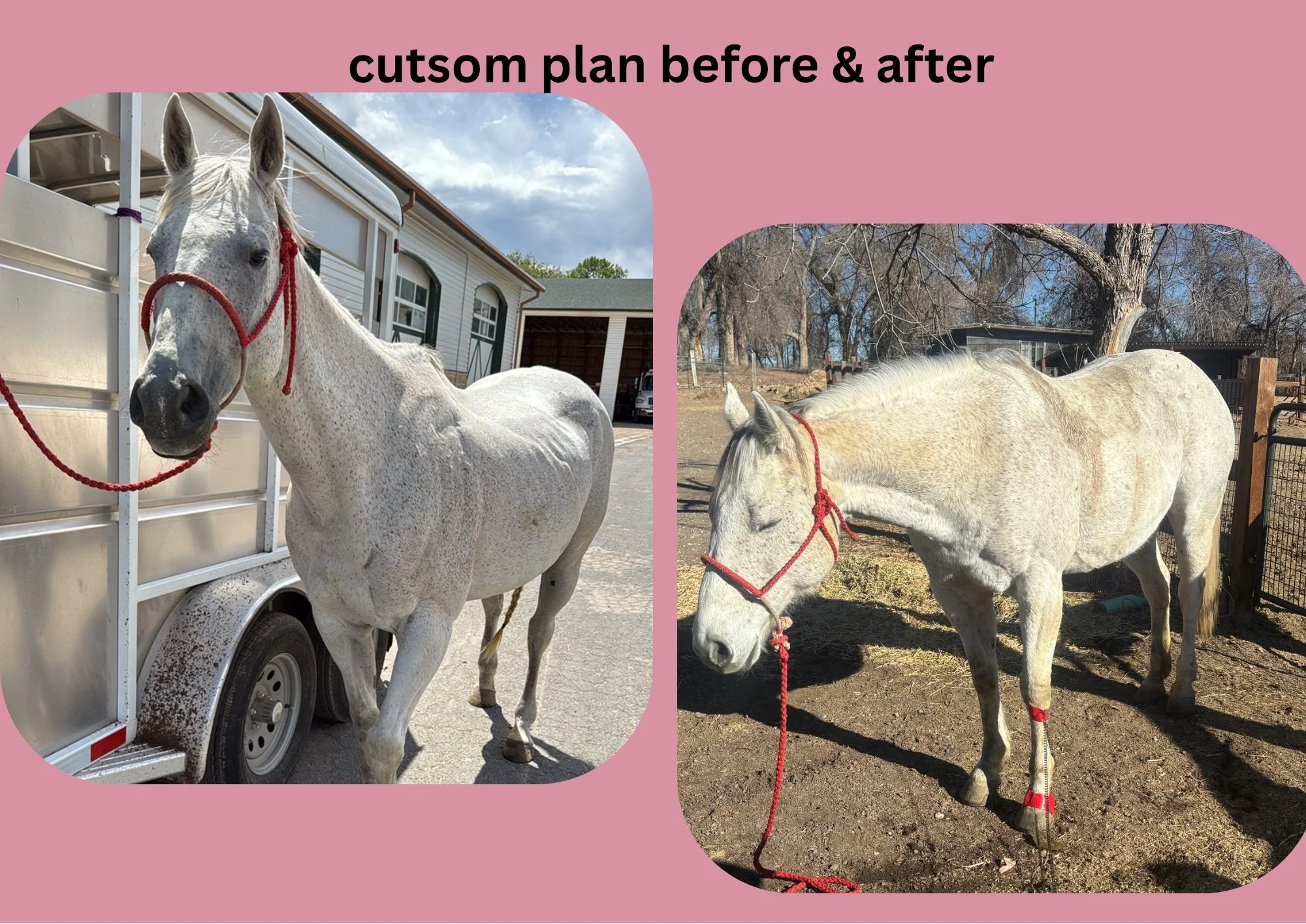 Gray Simple Shapes Blank A4 Document Landscape.JPG