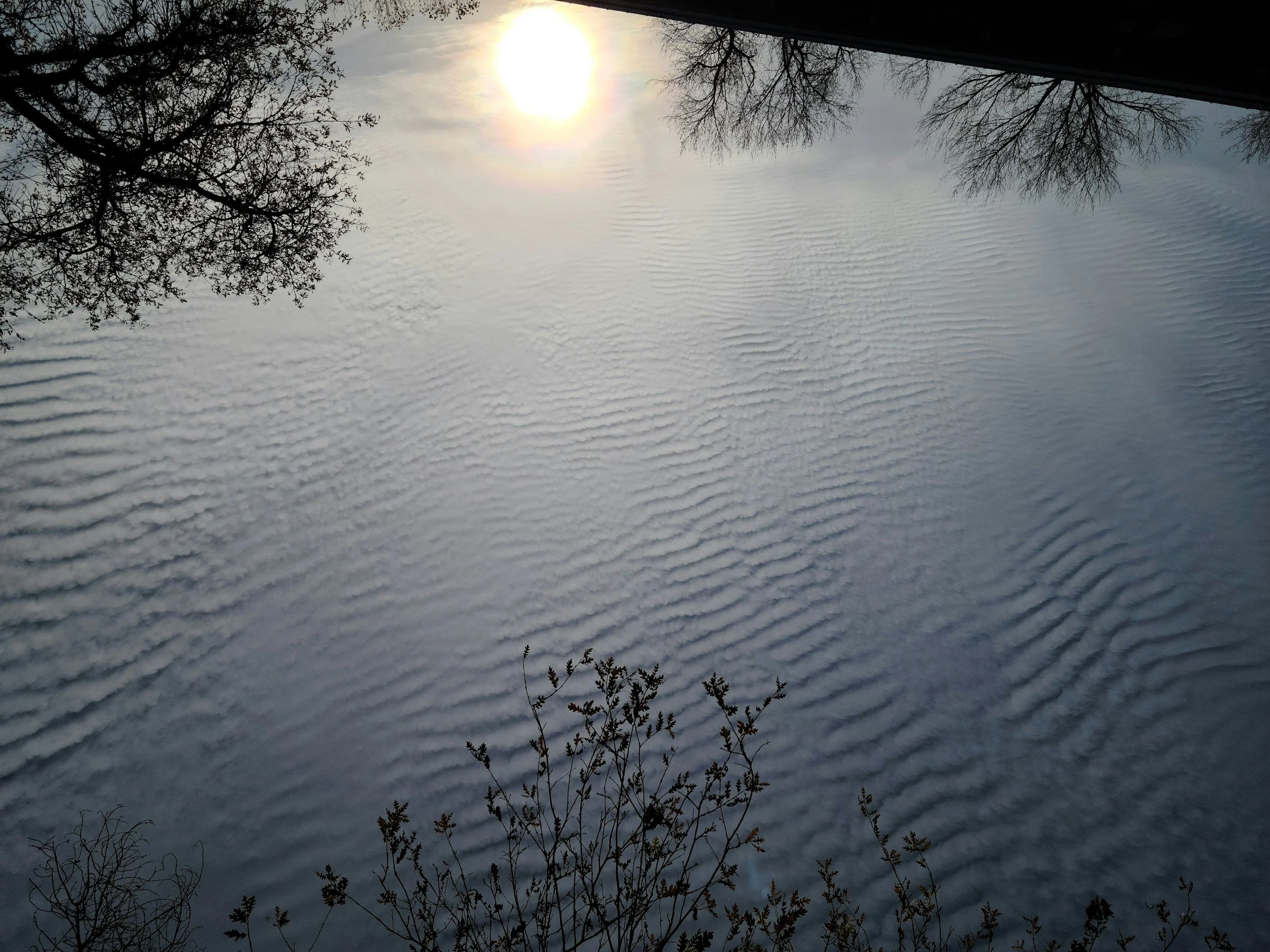 Photo of reflection of sunlight on water, representing students' struggles before joining the Psychic Development Mentorship Program and the guidance, support, and tools the program provides to help them increase their psychic powers.
