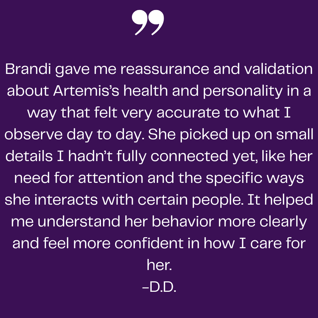 Testimonial describing how Brandi provided reassurance and validation about a dog named Artemis, including insights into her personality and behavior, helping the owner feel more confident in caring for her.