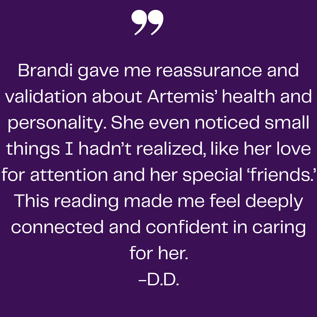 Happy client testimonial about an animal communicator and pet medium reading.  Dog and human communication was enhanced through a pet psychic session, providing comfort and insights for pets.