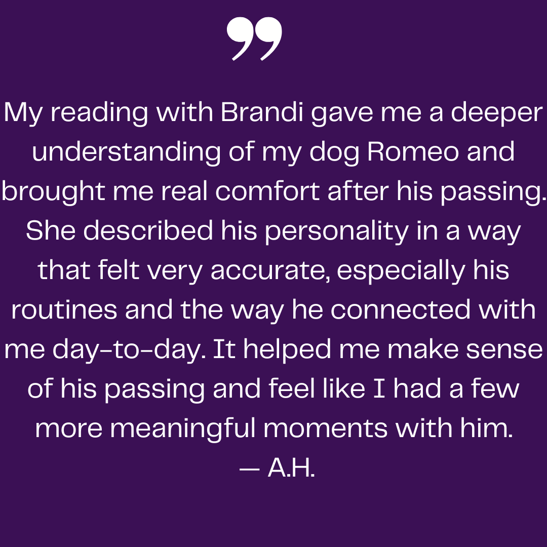 Testimonial from A.H. stating that a reading with Brandi brought comfort after the passing of her dog Romeo, helped her understand his personality and passing, and created a continued sense of connection with him.