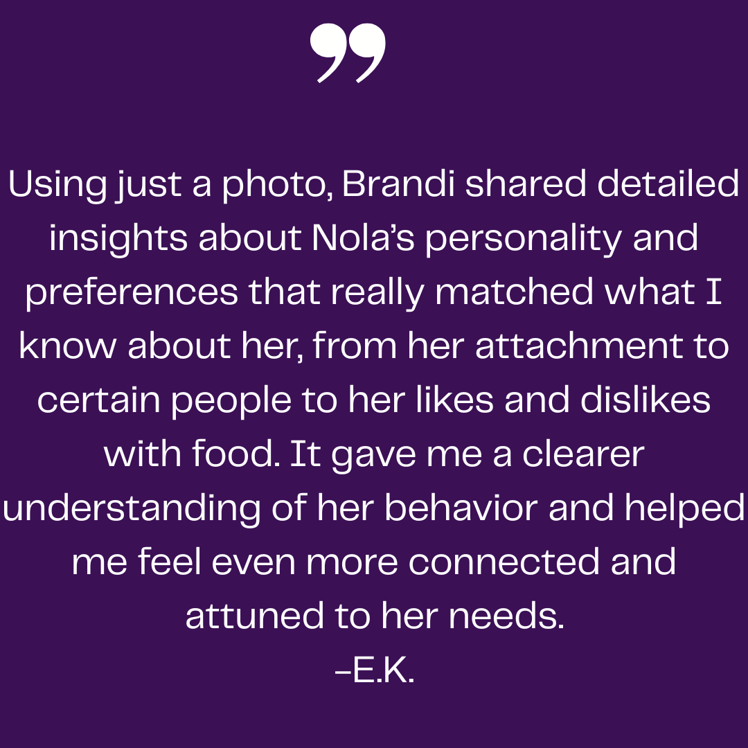 Testimonial from a client sharing that a photo-based reading with Brandi revealed detailed insights about their dog Nola’s personality and preferences, strengthening their understanding and connection.