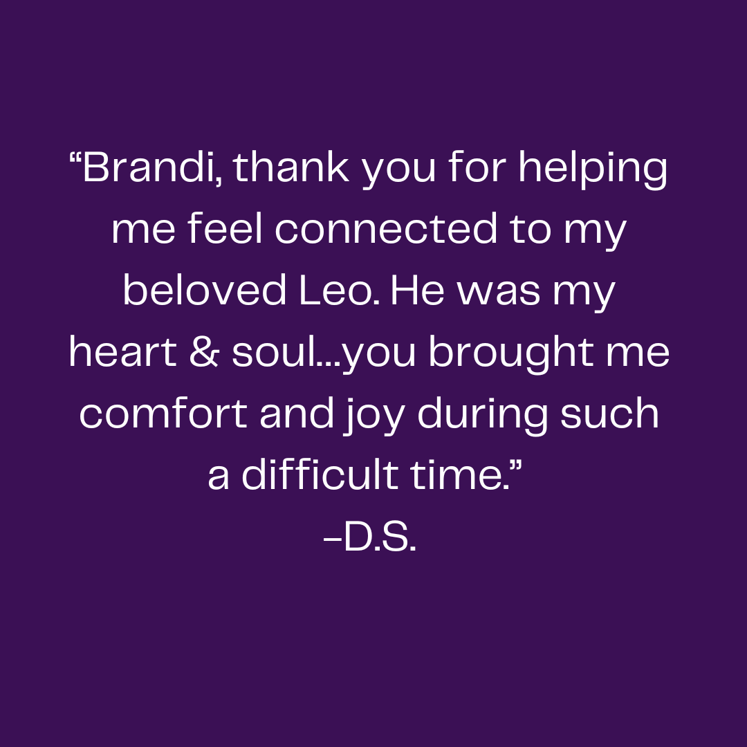 Pet owner feeling comfort and emotional support after a Pet Loss Support session.