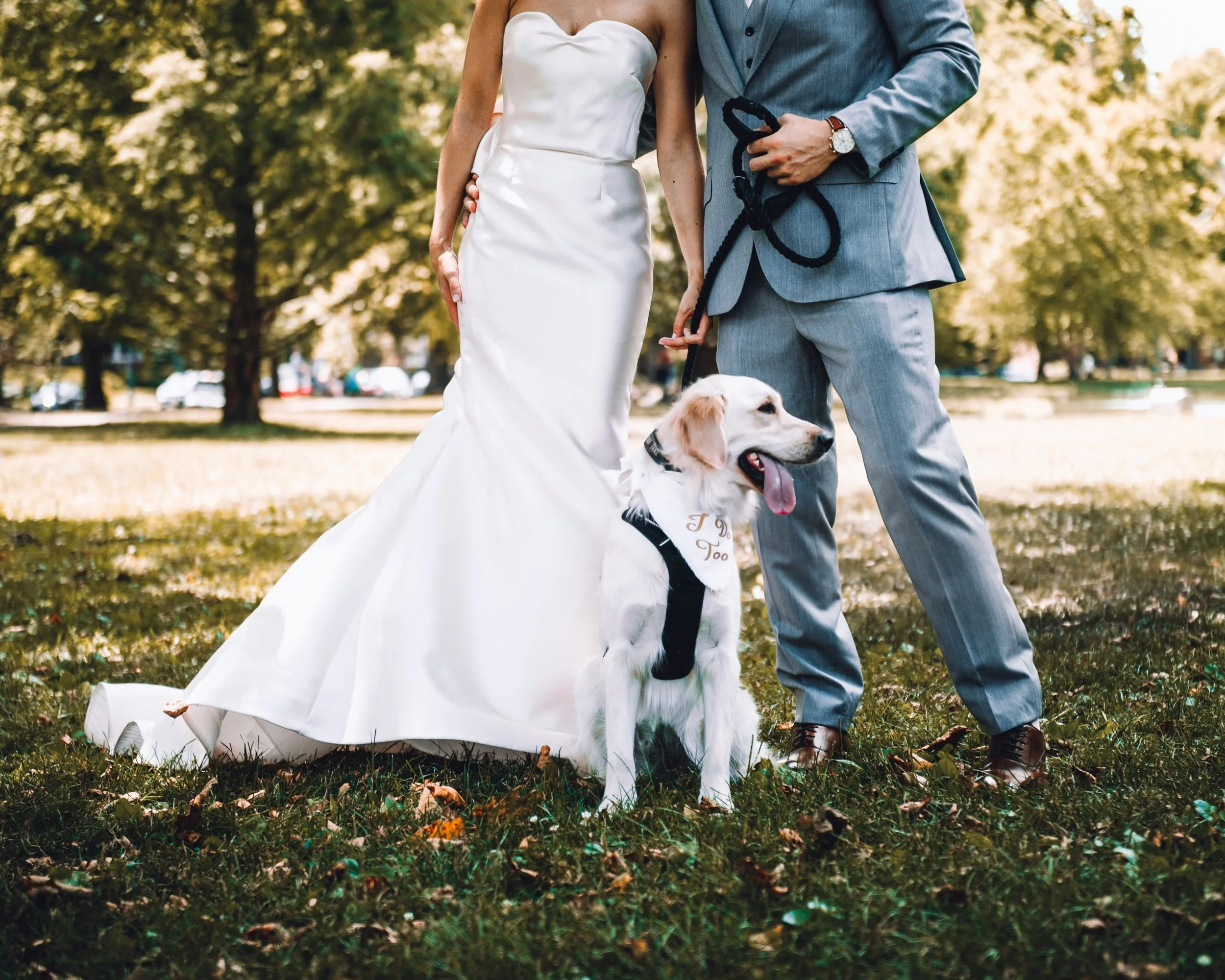 Happy newlywed couple at their wedding, where a pet psychic and animal communicator provided pet psychic readings for their guests.  Dogs and humans connecting through pet psychic readings, creating joyful moments.
