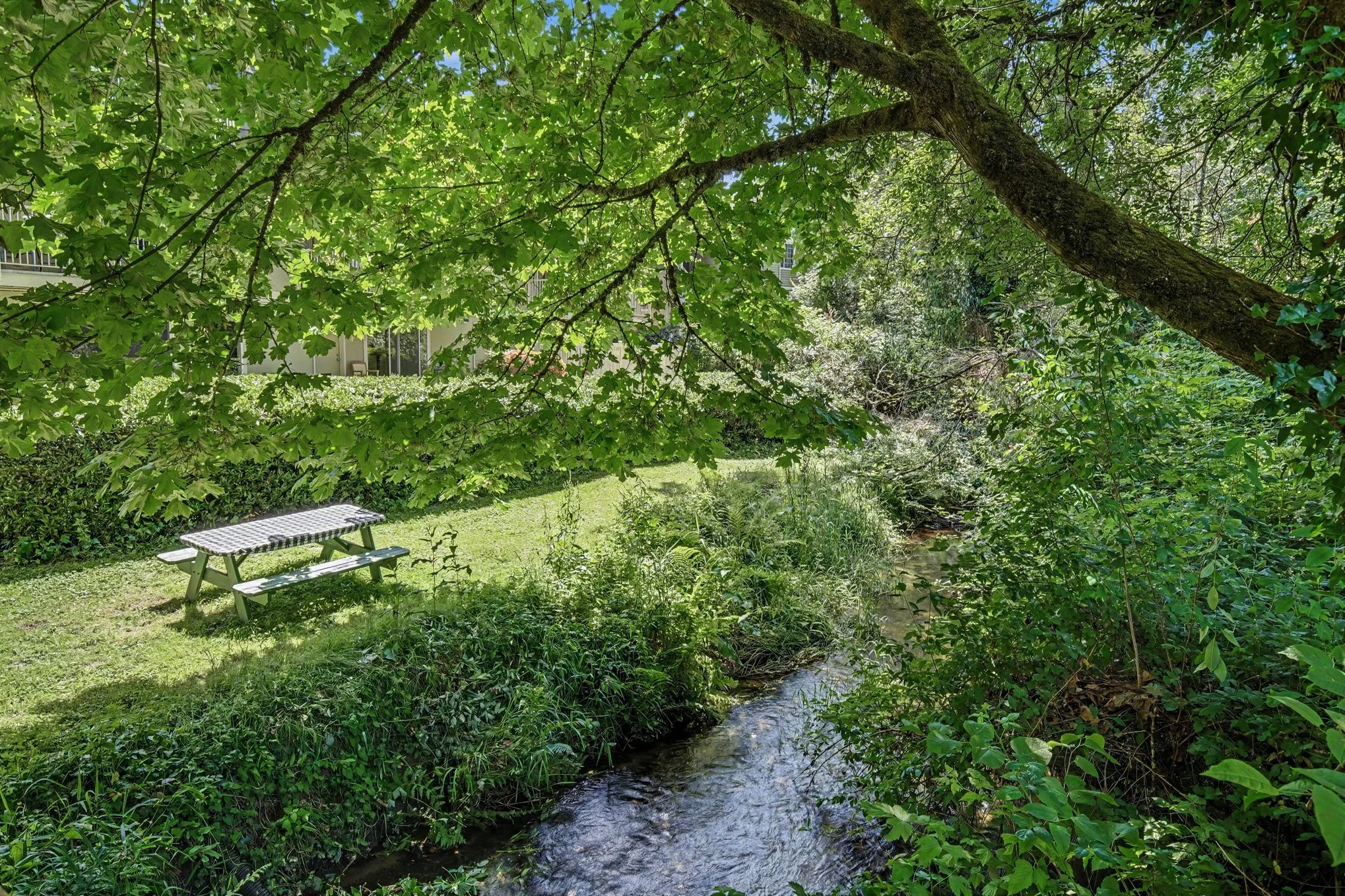 Picnic area next to peaceful Juanita Creek