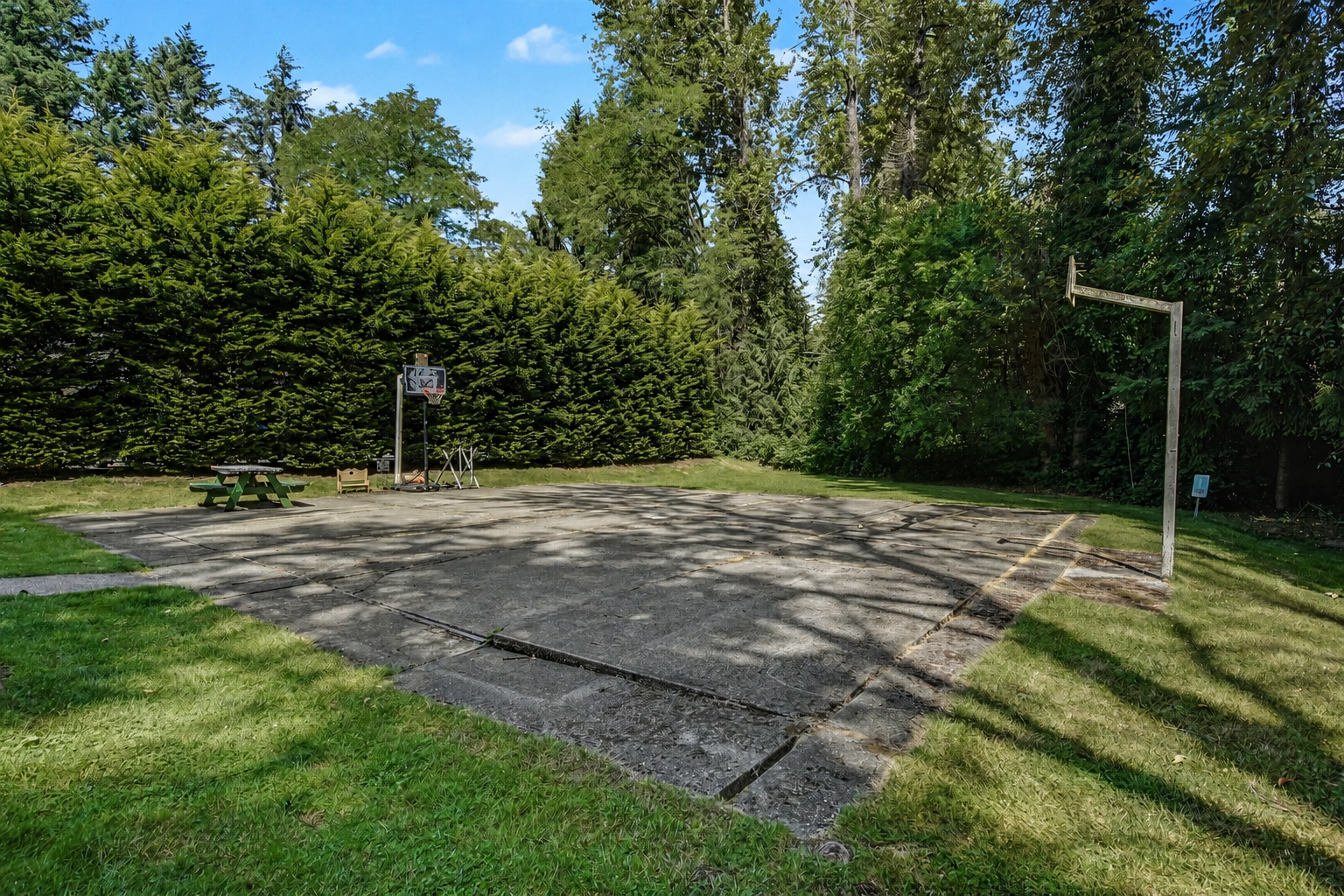 Picnic area and sport court