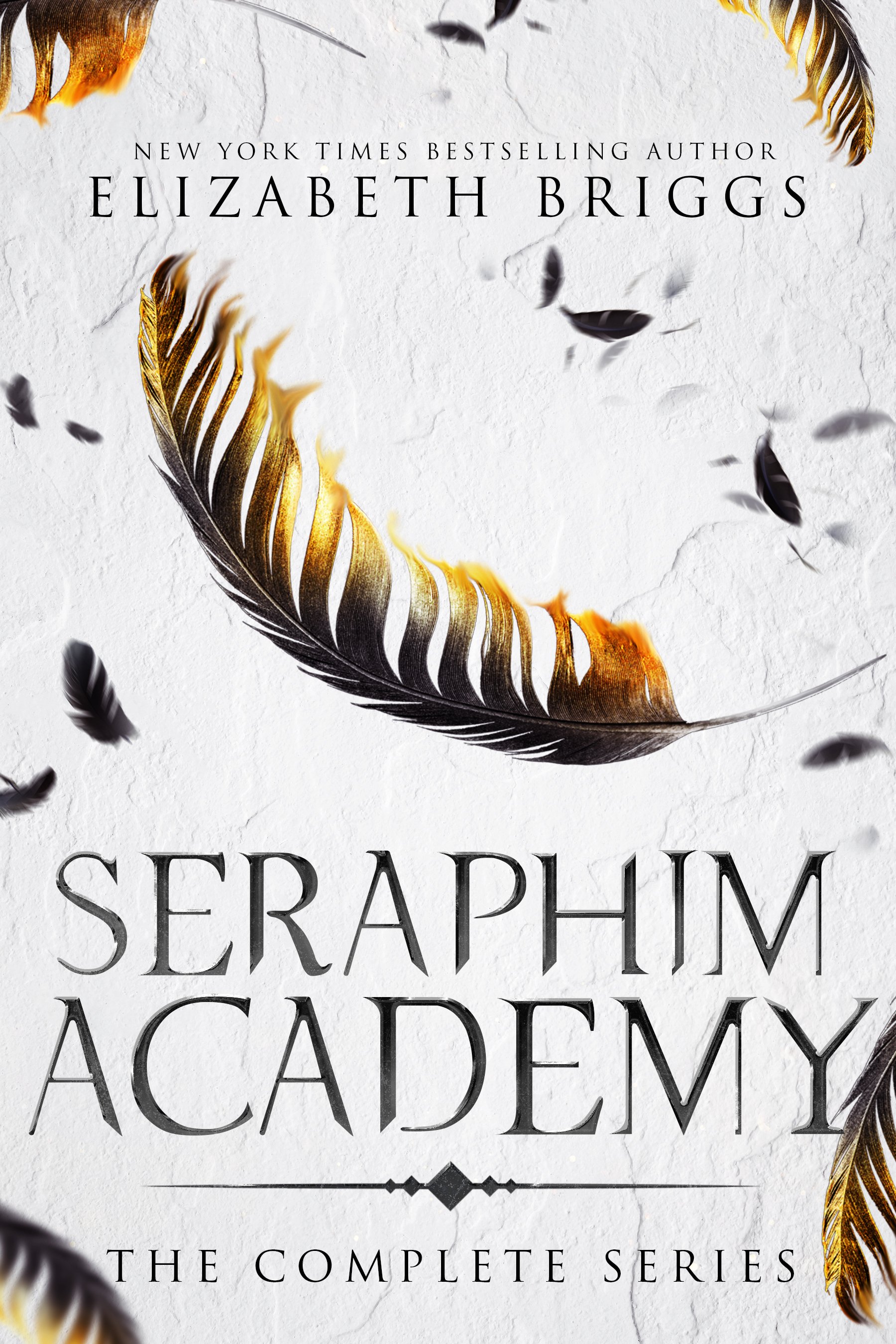 Seraphim Academy box set.jpg