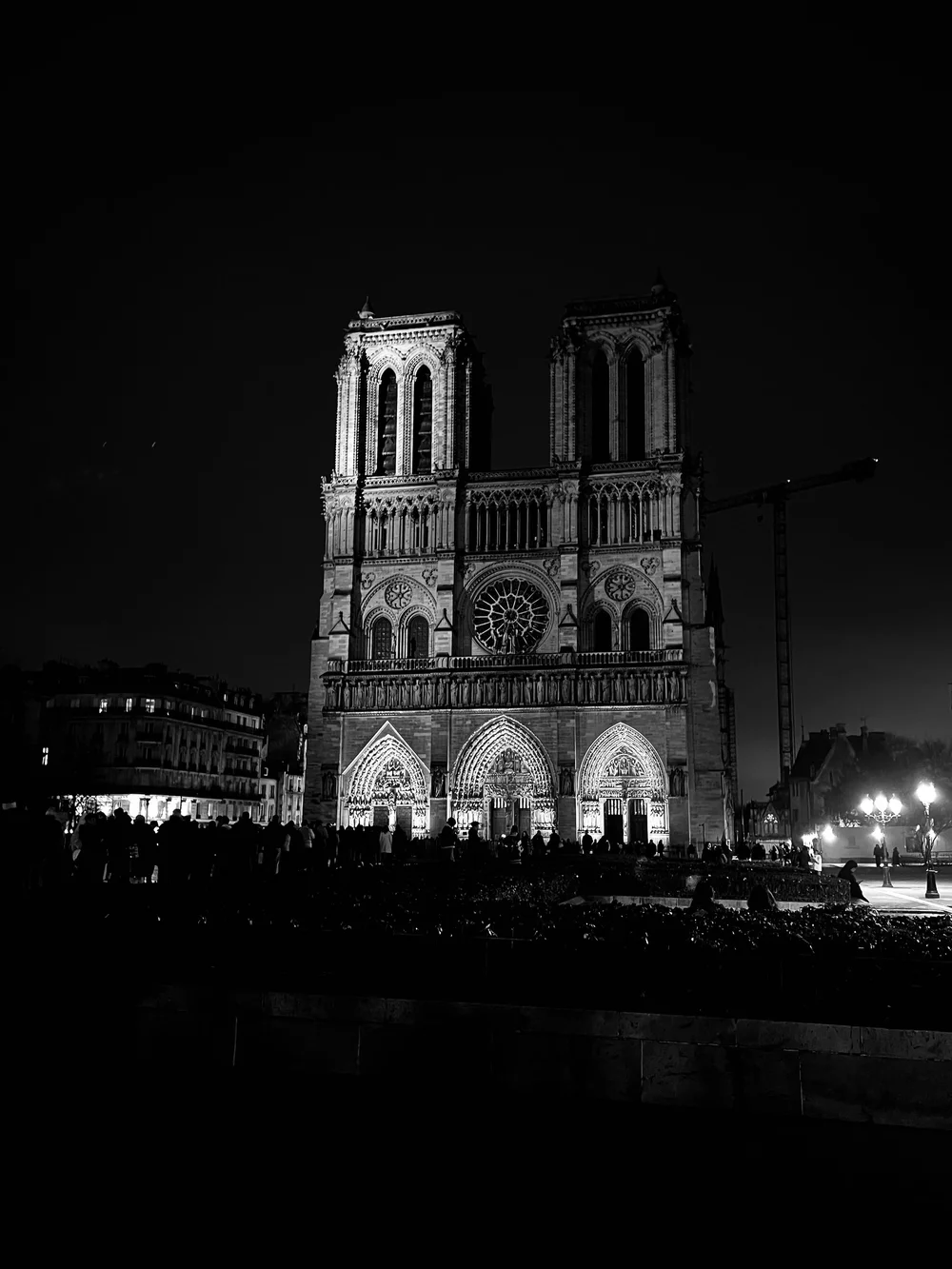 IMG_9544.jpeg