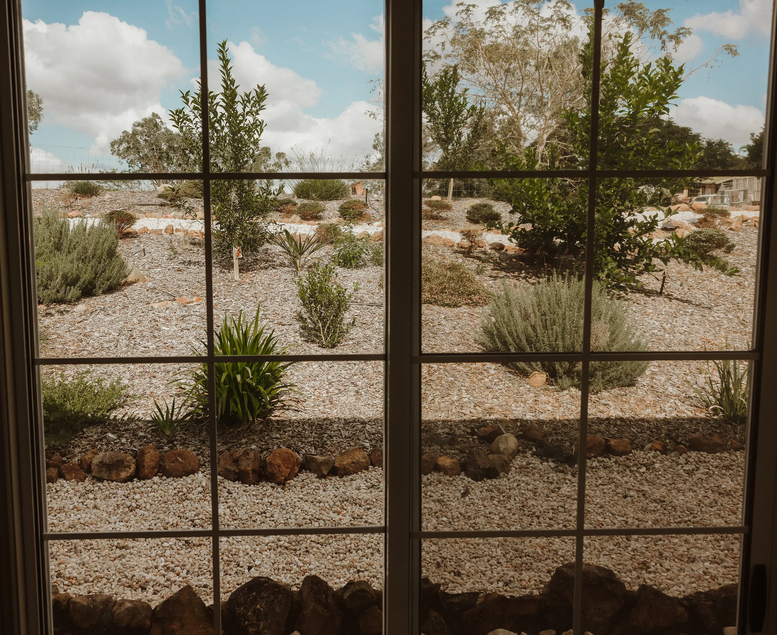View of a landscaped garden with various bushes and small trees through a window with grid panes, under a partly cloudy sky.
