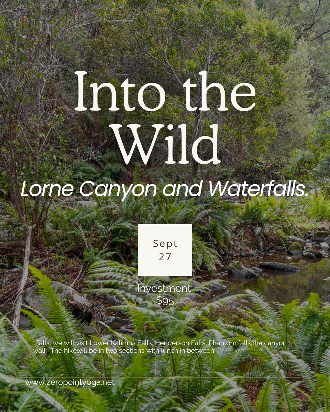 Into the Wild | Lorne Canyon and Waterfalls walk