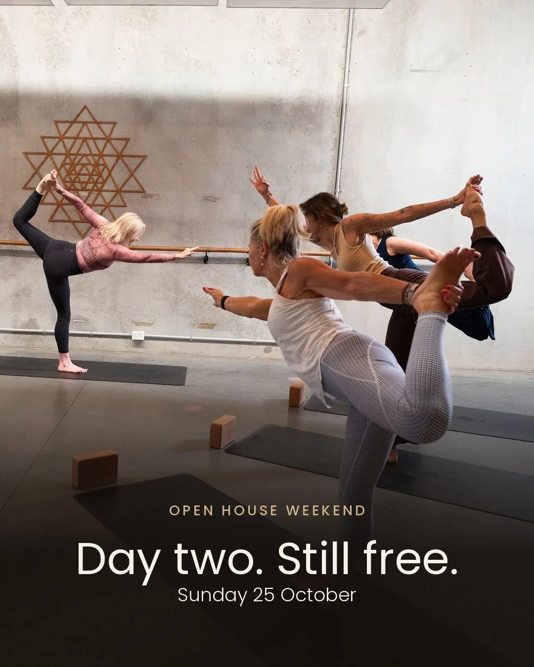 openhouse.webp