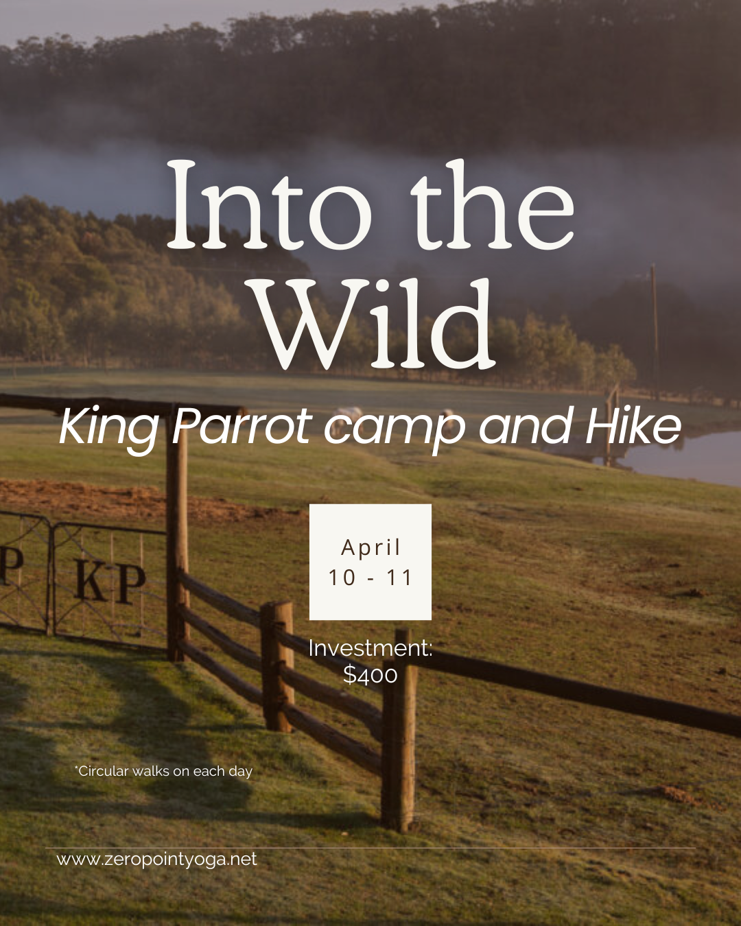 Into the Wild _ King Parrot camp and Hike.png