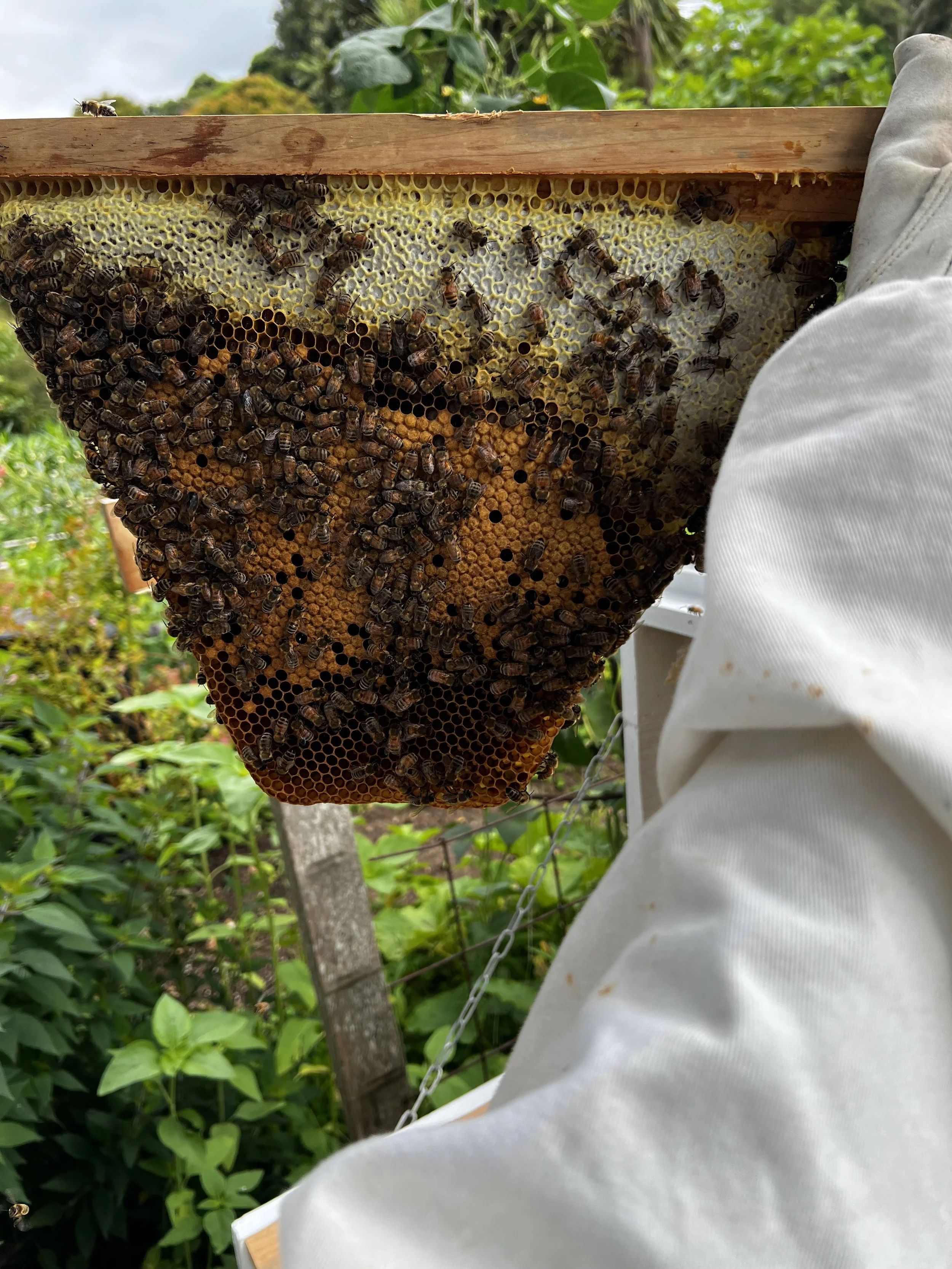 josh 1 news web.jpeg