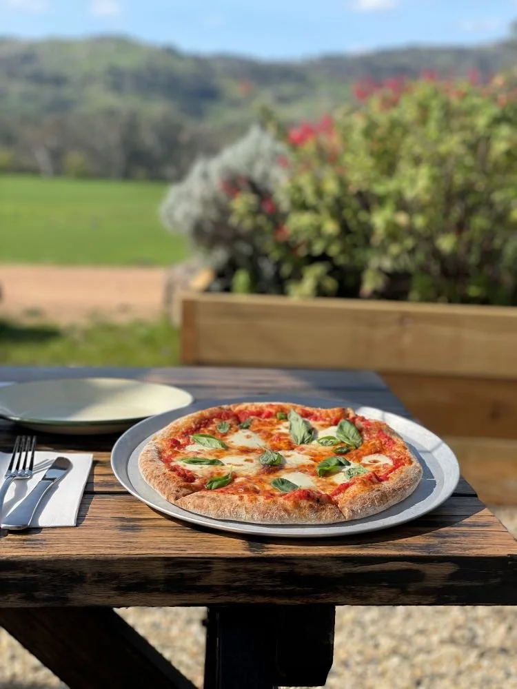 New Years Day in Herb Garden!