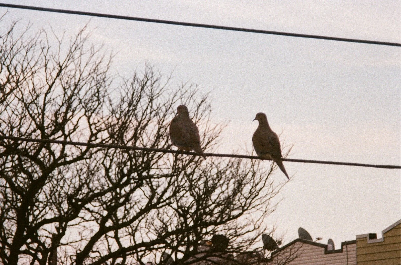 IMG_7134.jpeg