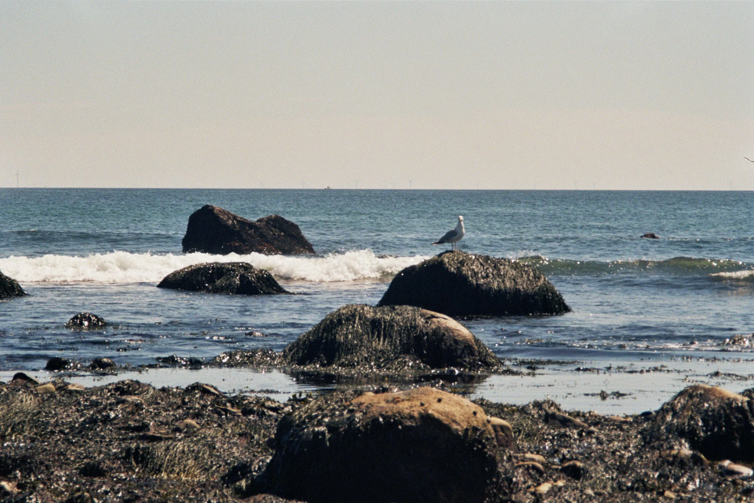 32_00160.jpg