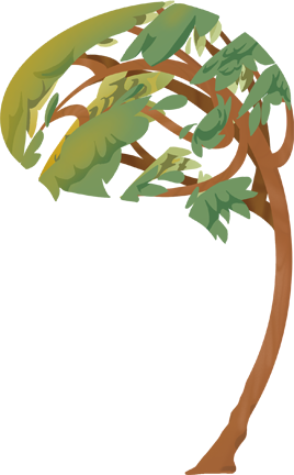 tree.png
