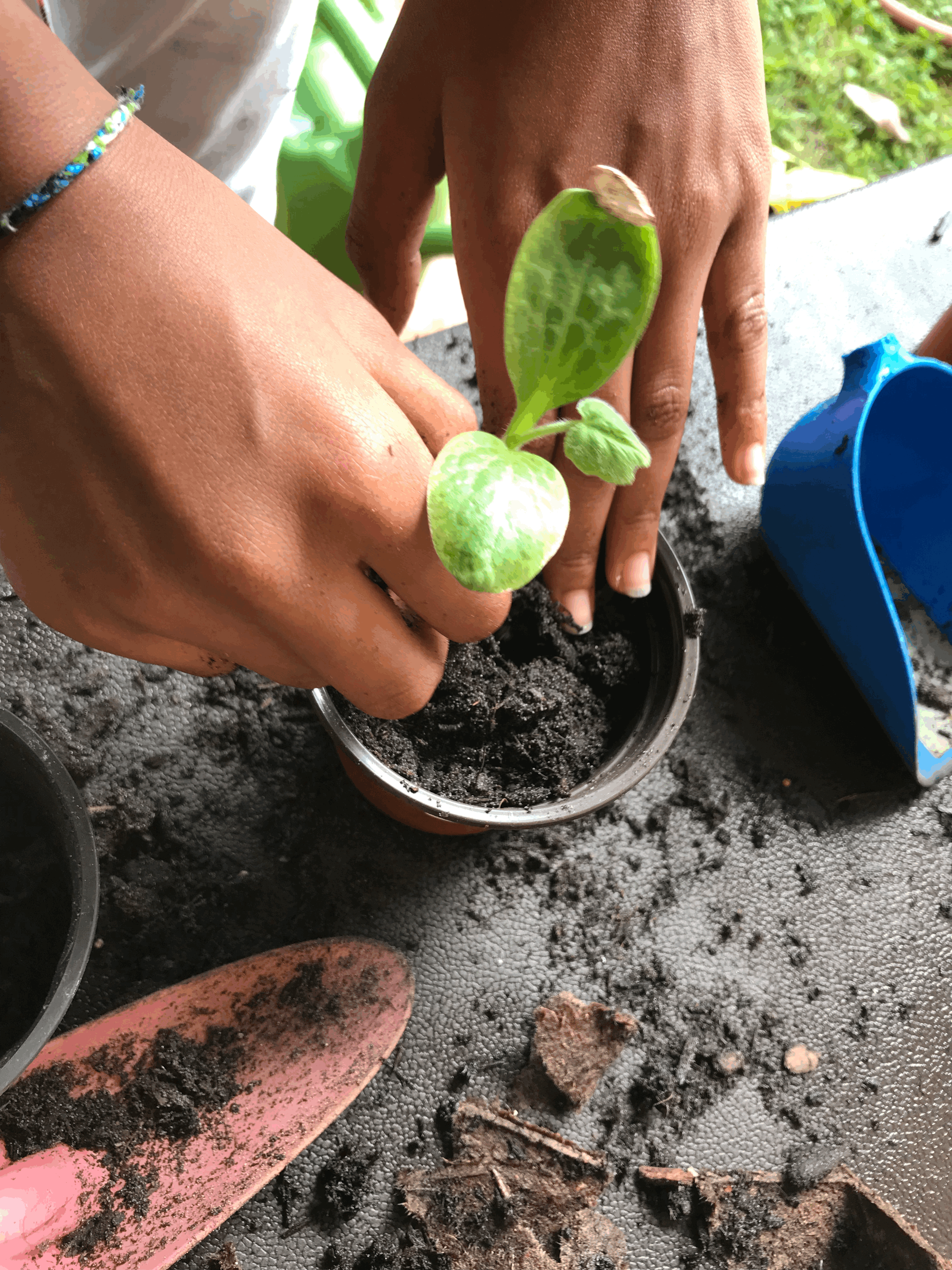 MÉN Beni Garden Workshop for Kids & Teens