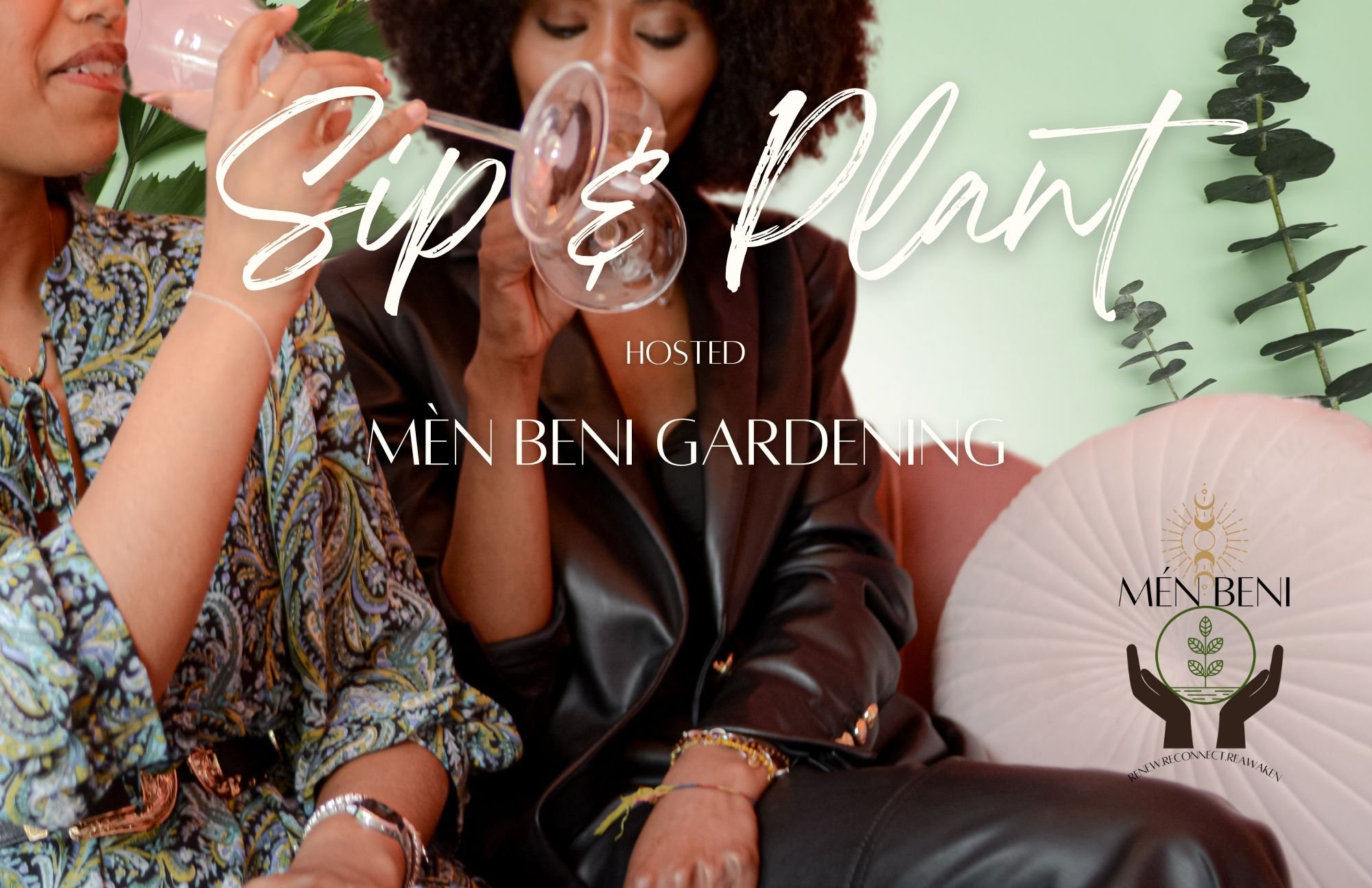 SIP & Plant