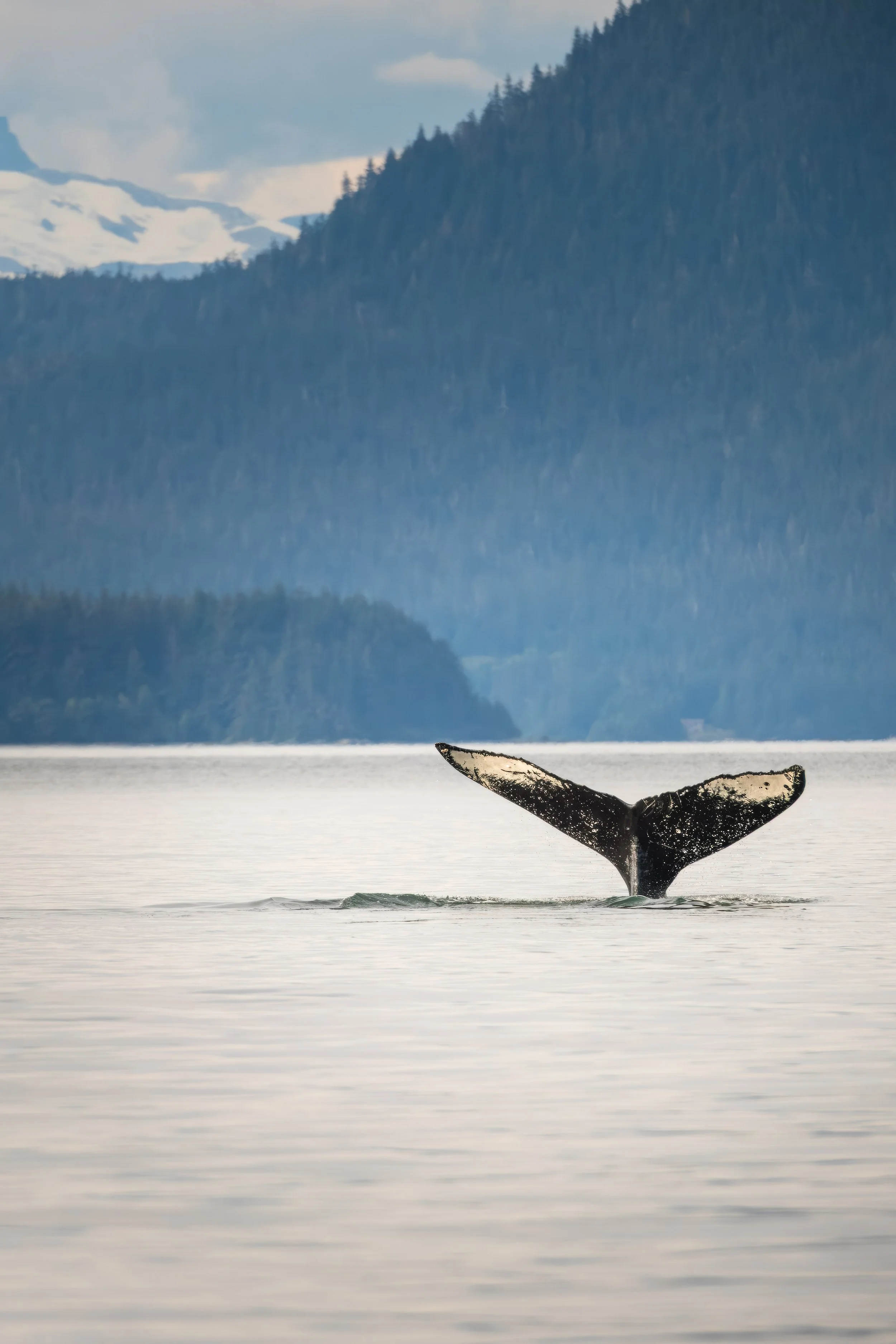 DSCF4888-Enhanced-NR Topaz Gigapixel 2x scale.jpg