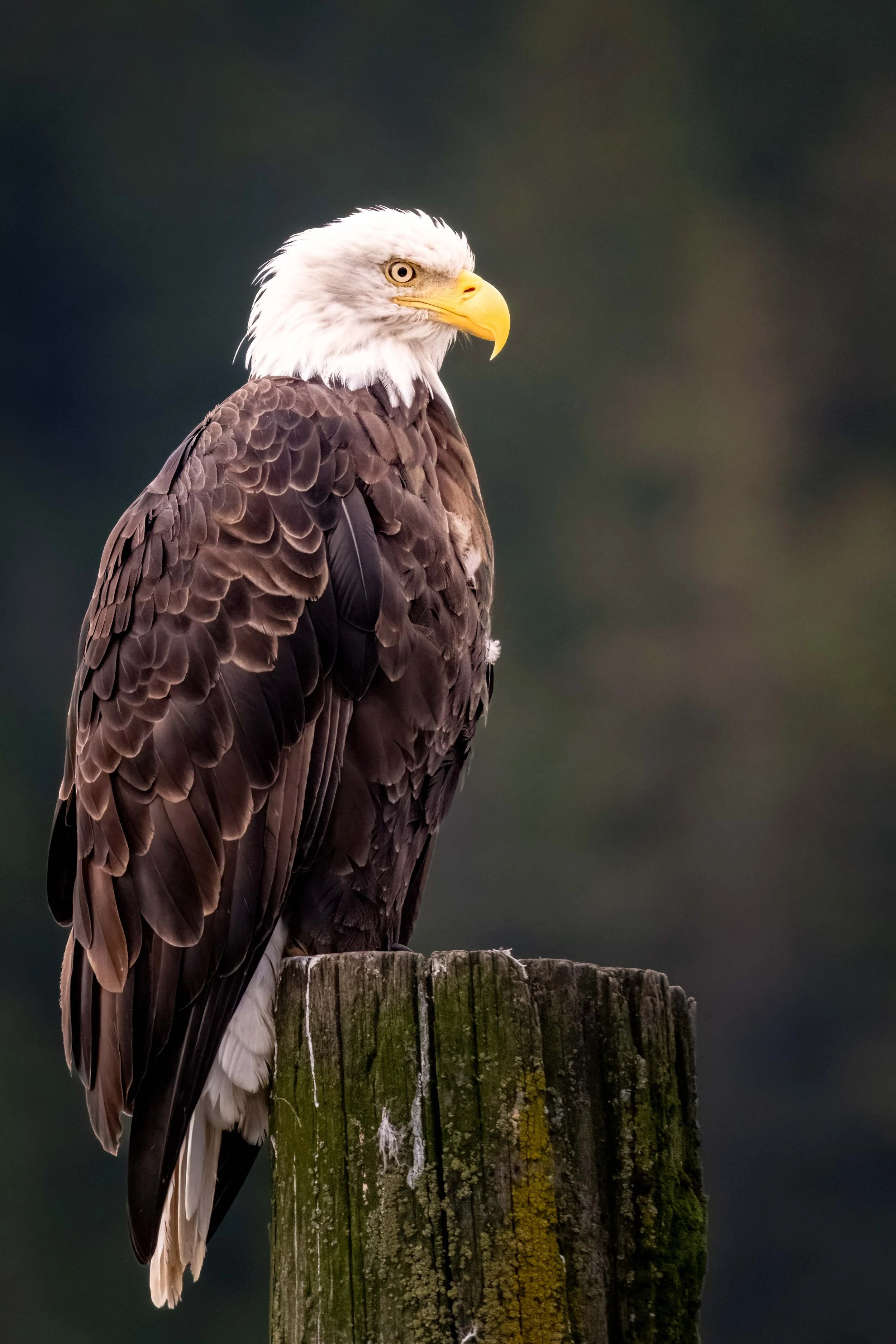 DSCF4966-Edit.jpg