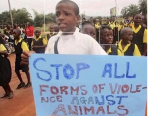 Screenshot 2026-02-17 at 15.14.33.png